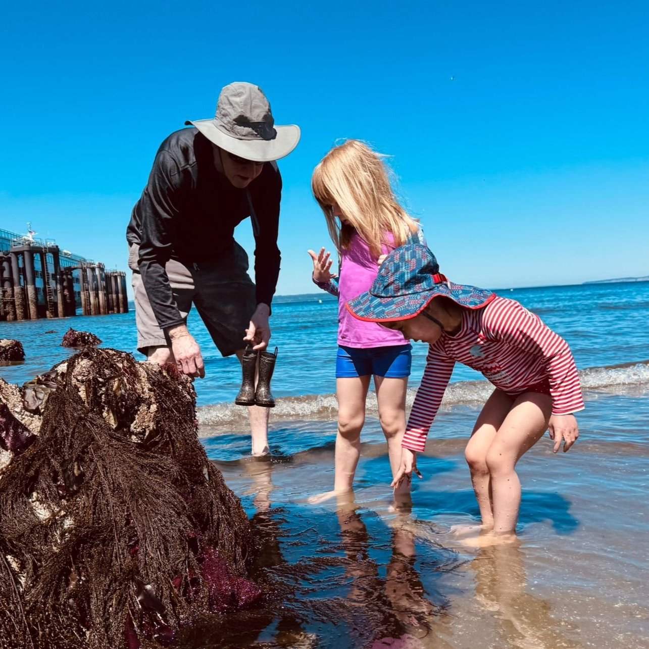 Two young children and an adult look at a tide pool during the Summer Play & Learn in the parks, a fun program for children age 0-5 & their adults.