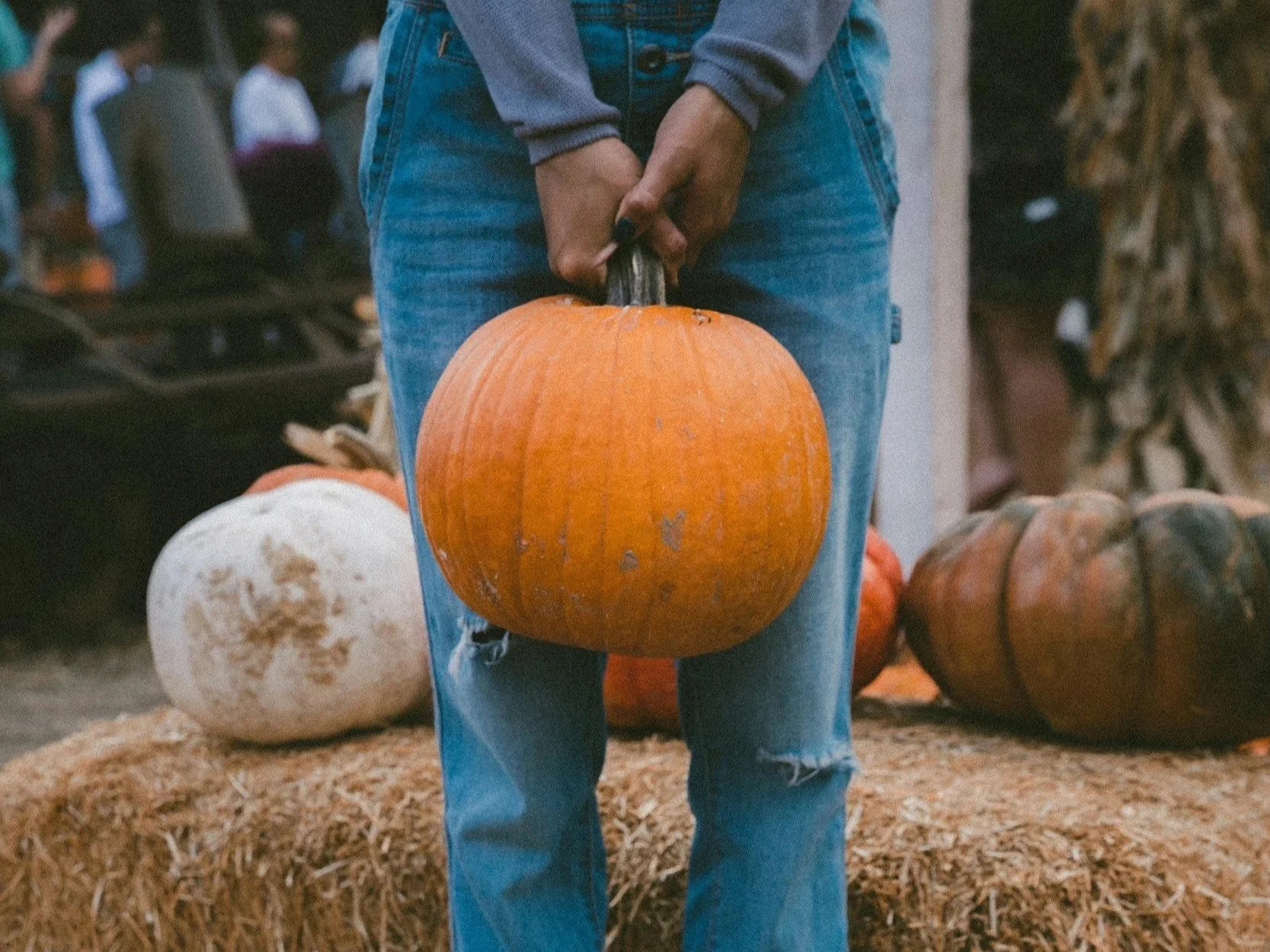 A person holds a pumpkin by the stem with a hay bale and other pumpkins in the background