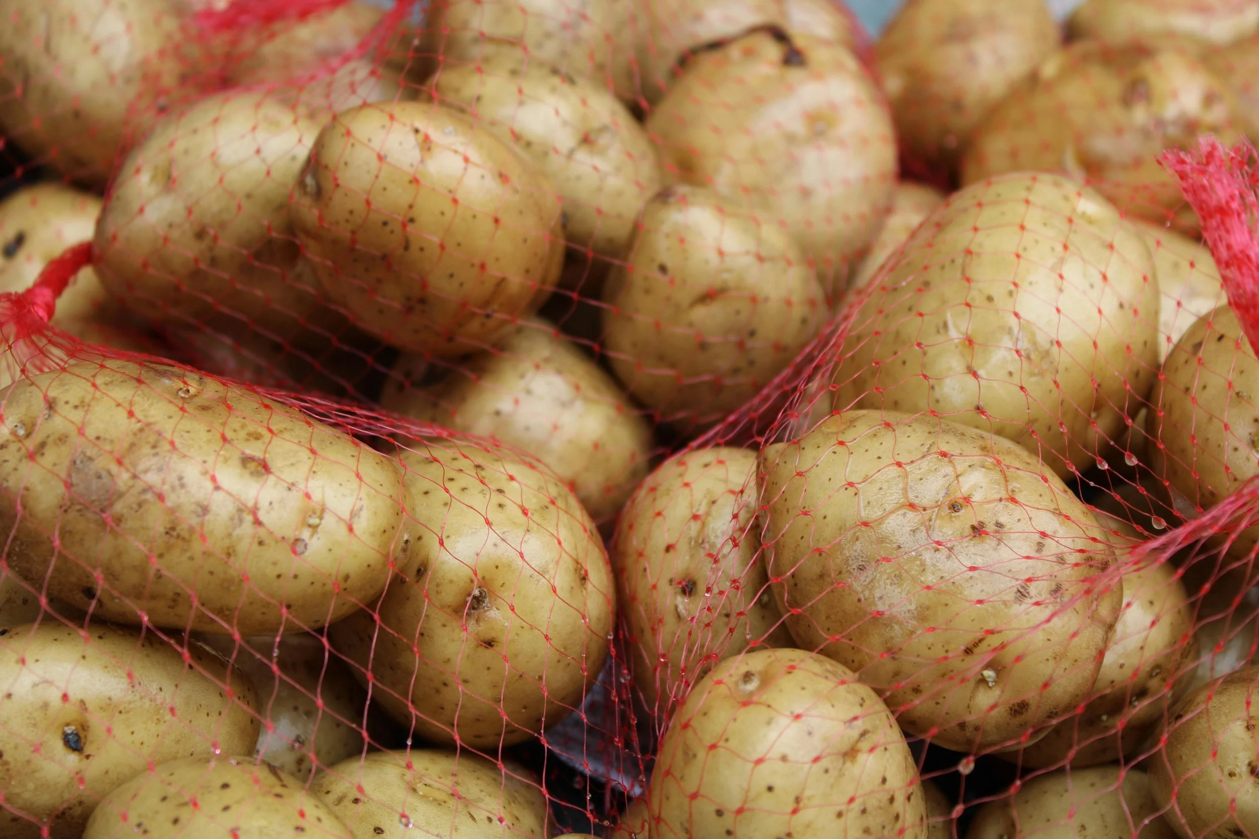 A pile of brown potatoes in fine red mesh bag.