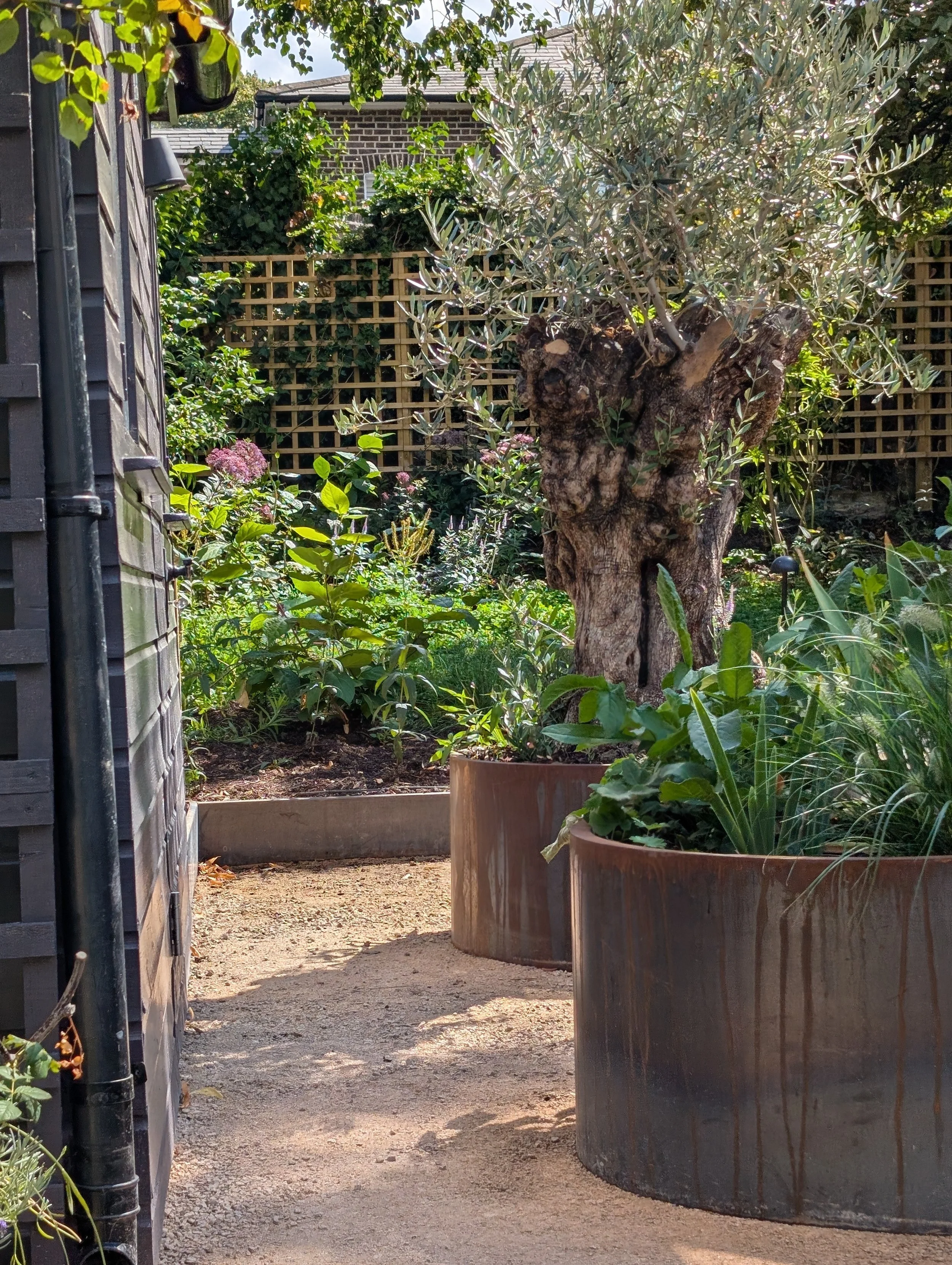 corten planters in a kitchen garden