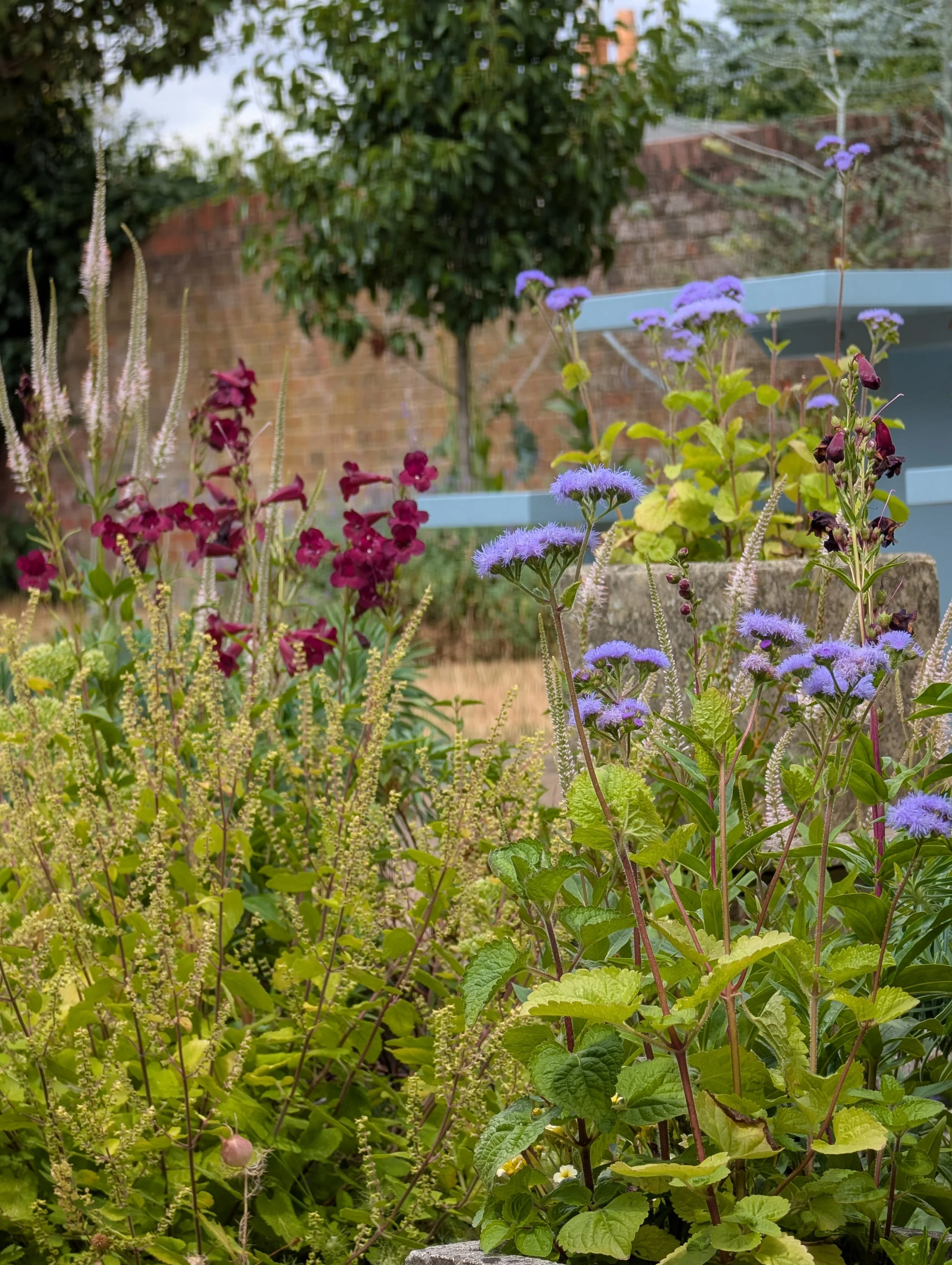 wiltshire garden
