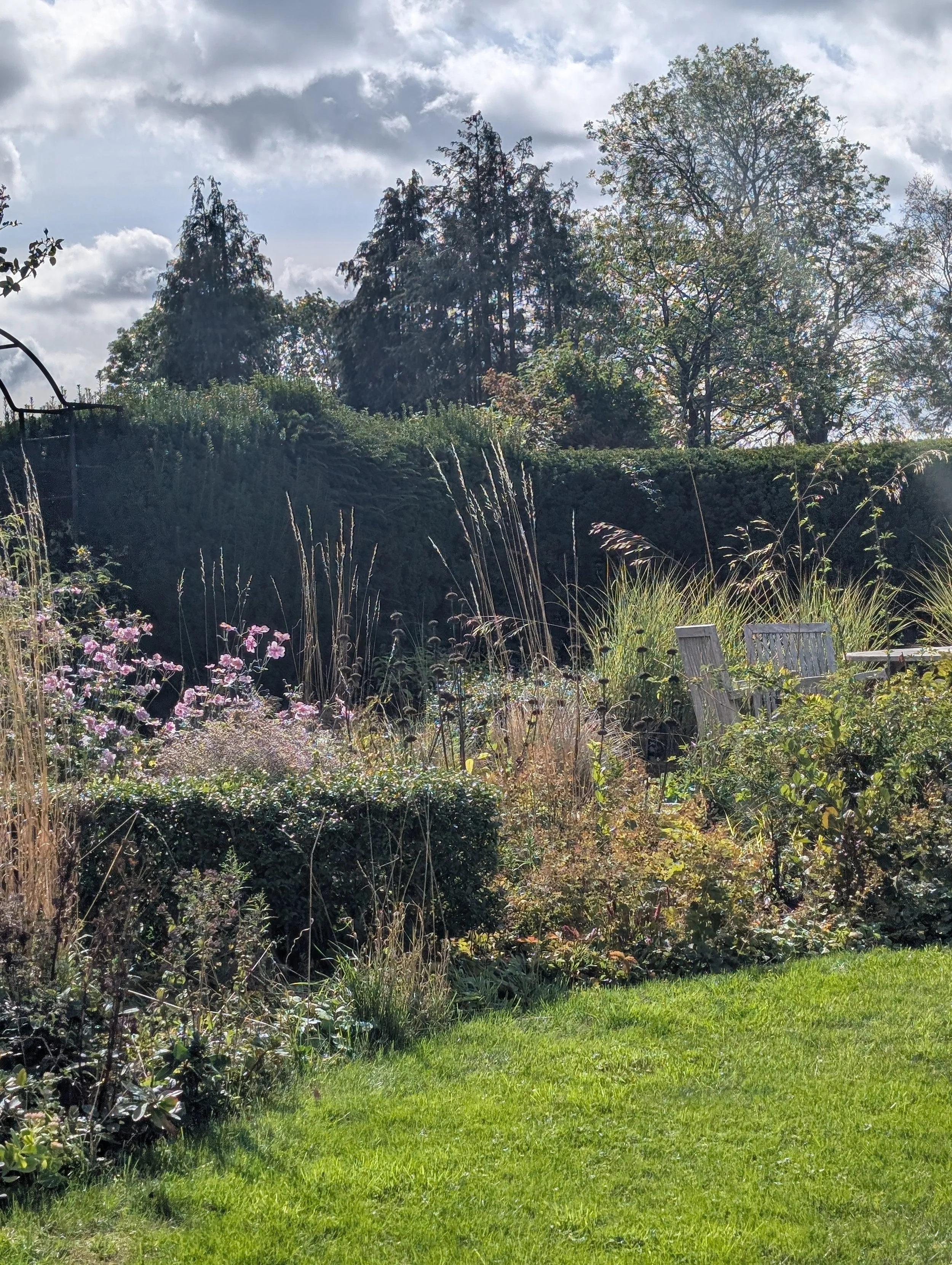 October 2025 – Inheriting a garden