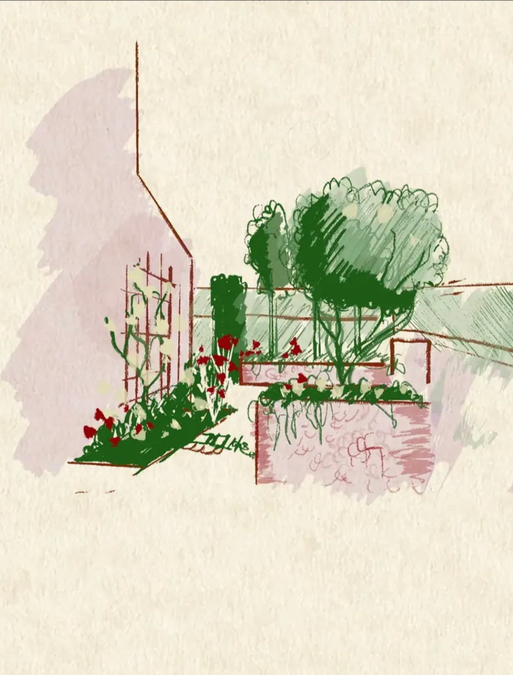 garden illustration by tabi jackson gee