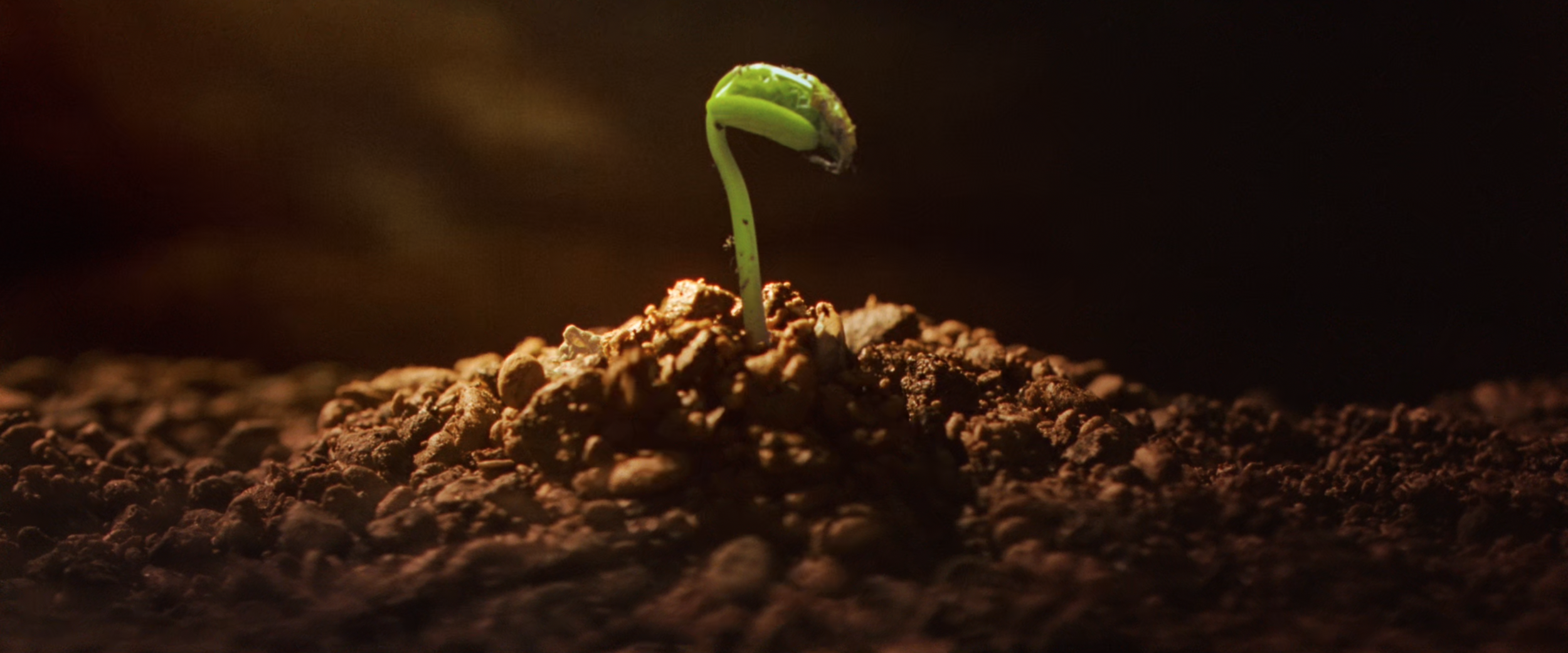 Screenshot 2026-03-05 at 2.58.57 PM.png