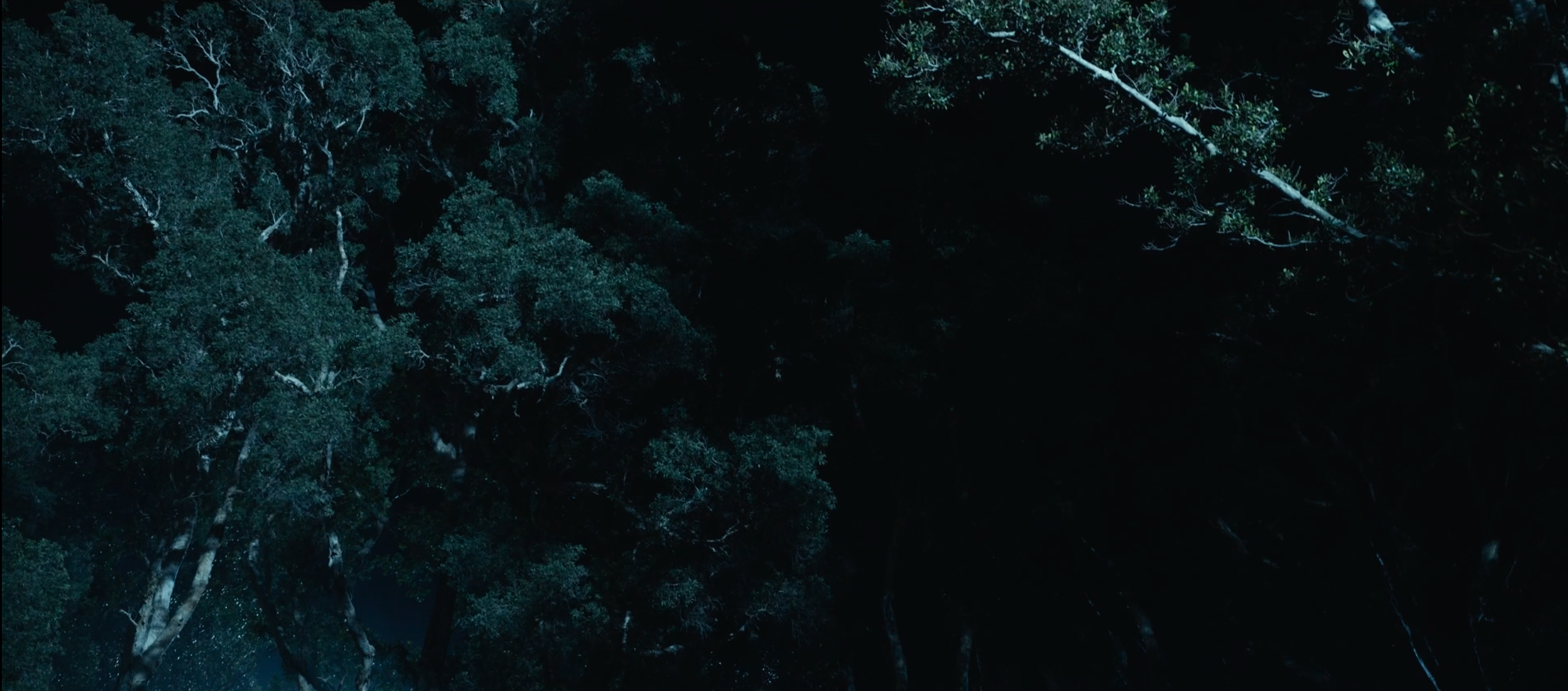 Screenshot 2026-03-06 at 11.22.51 AM.png