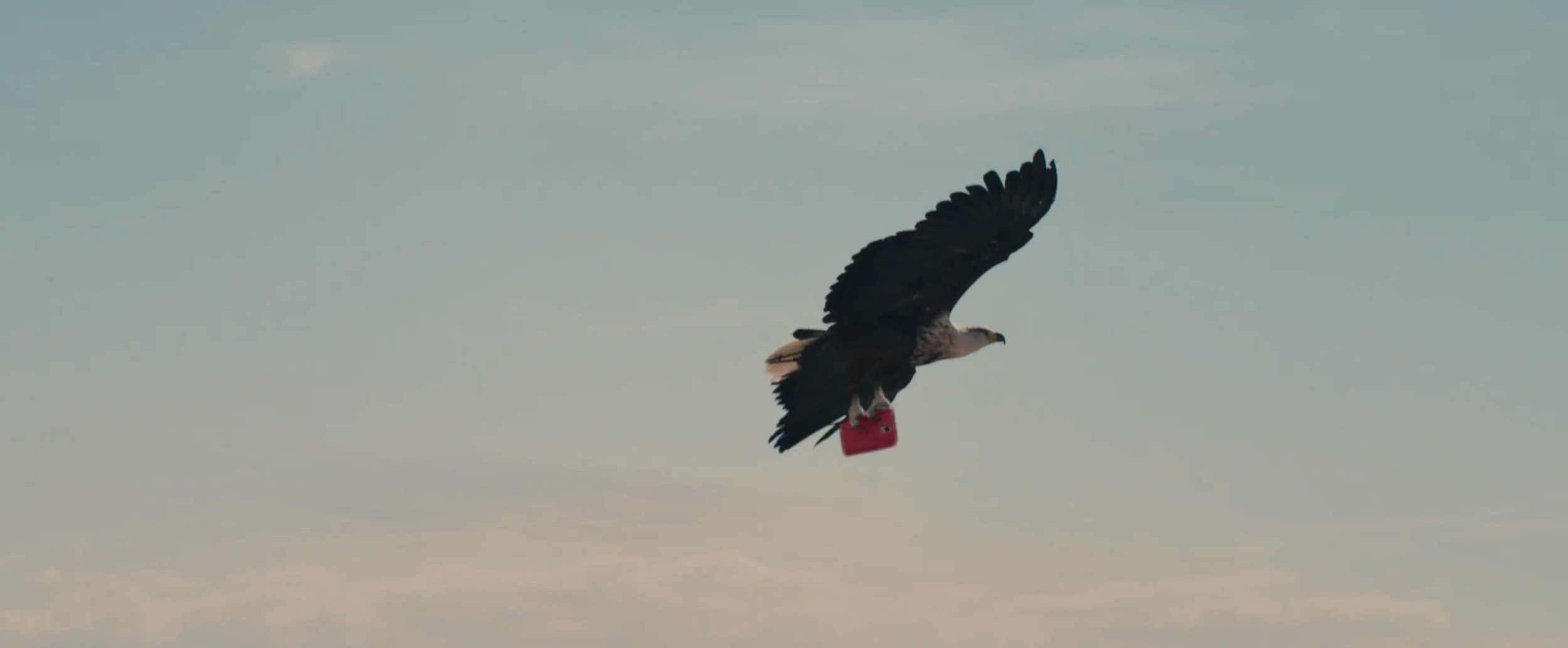 Screenshot 2026-03-06 at 12.01.06 PM.png