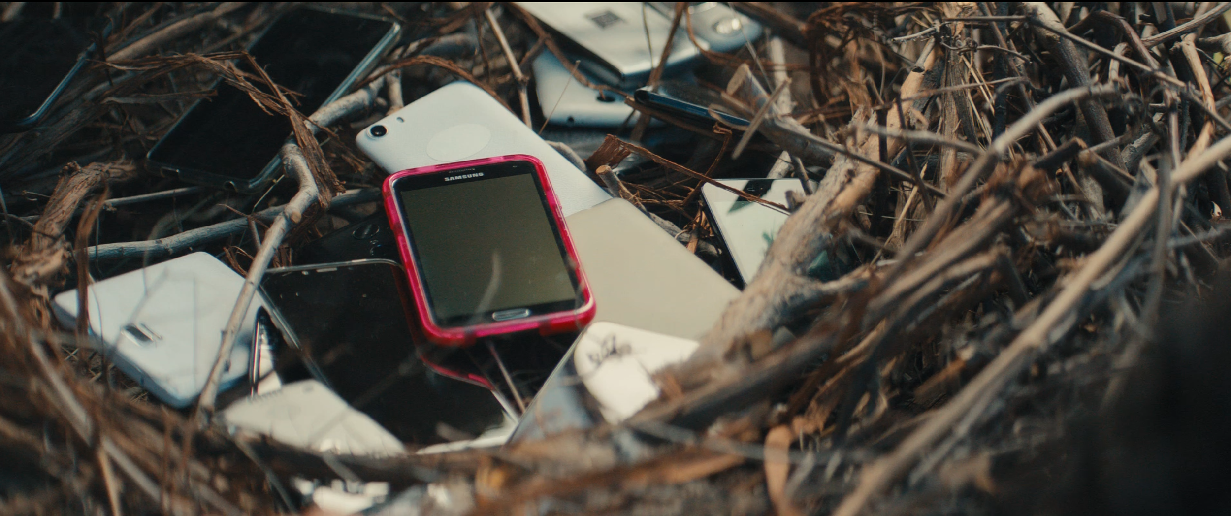 Screenshot 2026-03-06 at 12.05.12 PM.png