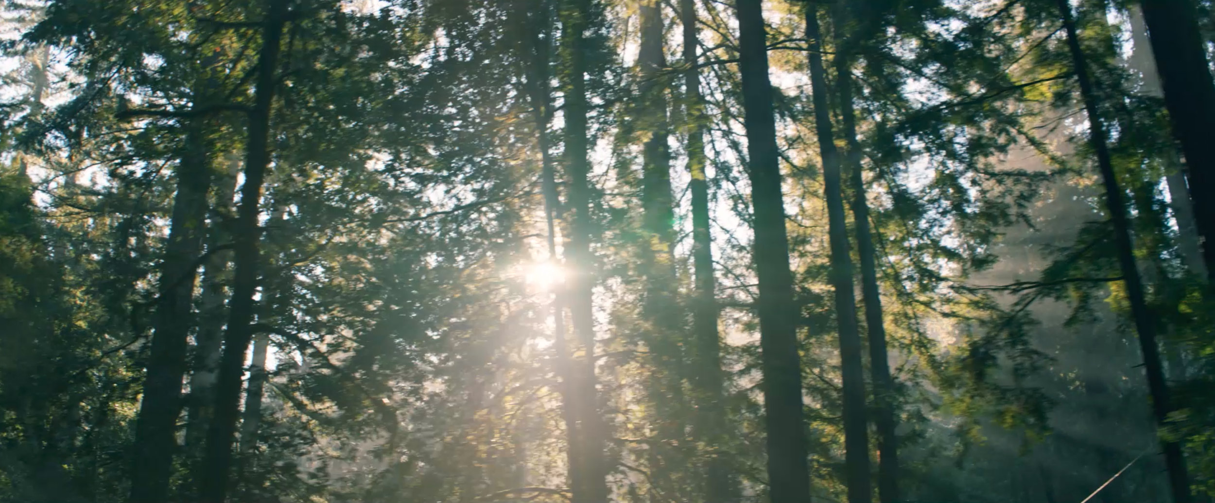 Screenshot 2026-03-09 at 9.06.04 AM.png