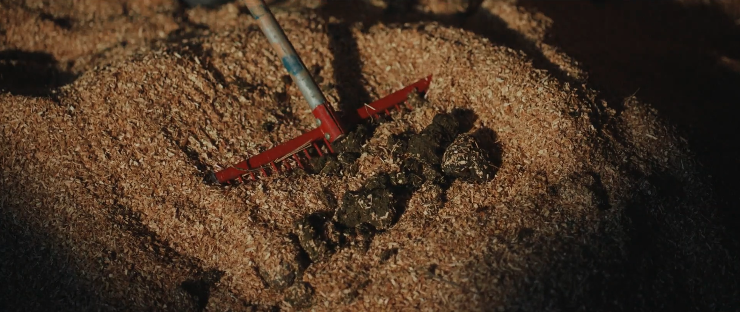 Screenshot 2026-03-05 at 2.45.07 PM.png