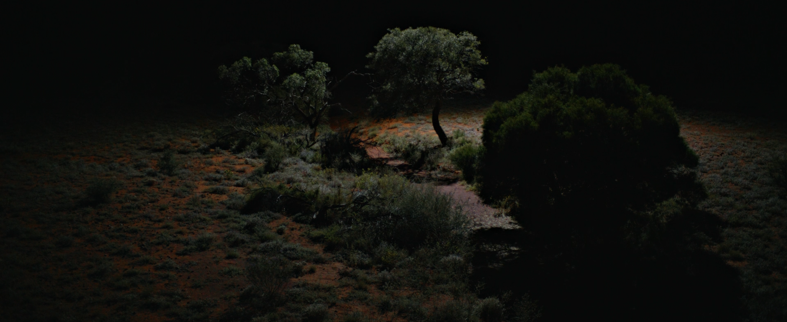 Screenshot 2026-03-09 at 8.47.53 AM.png