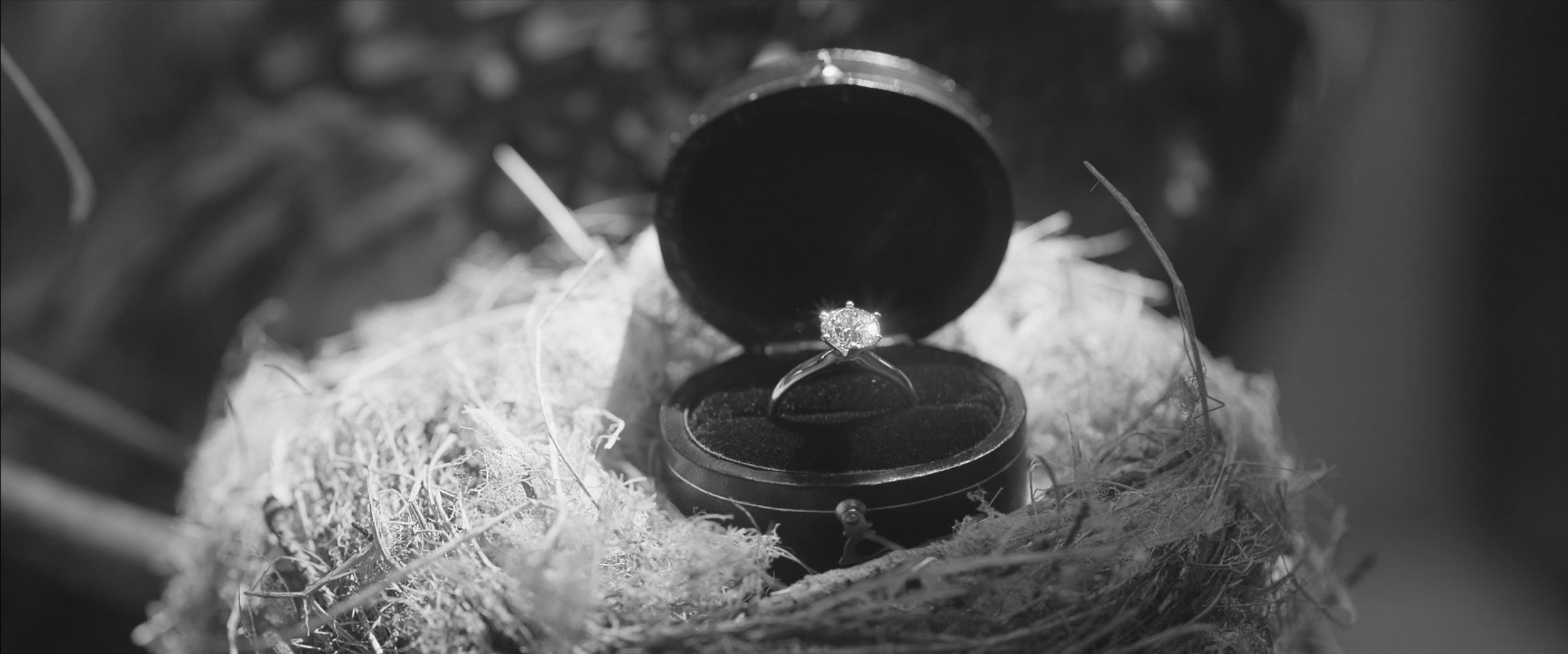 Screenshot 2026-03-06 at 8.49.31 AM.png