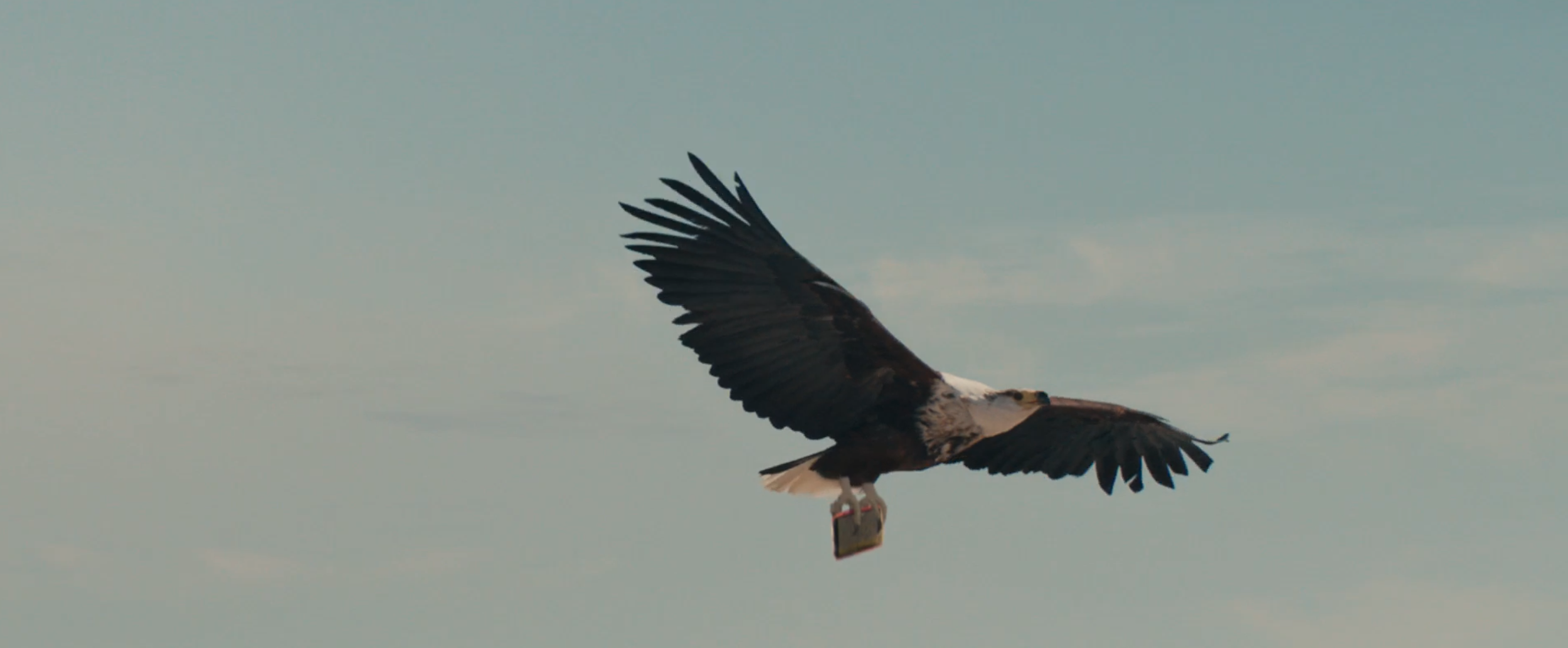 Screenshot 2026-03-06 at 12.03.40 PM.png