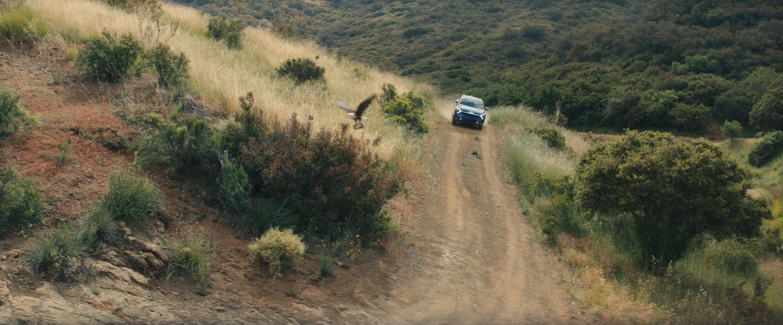 Screenshot 2026-03-06 at 12.03.16 PM.png