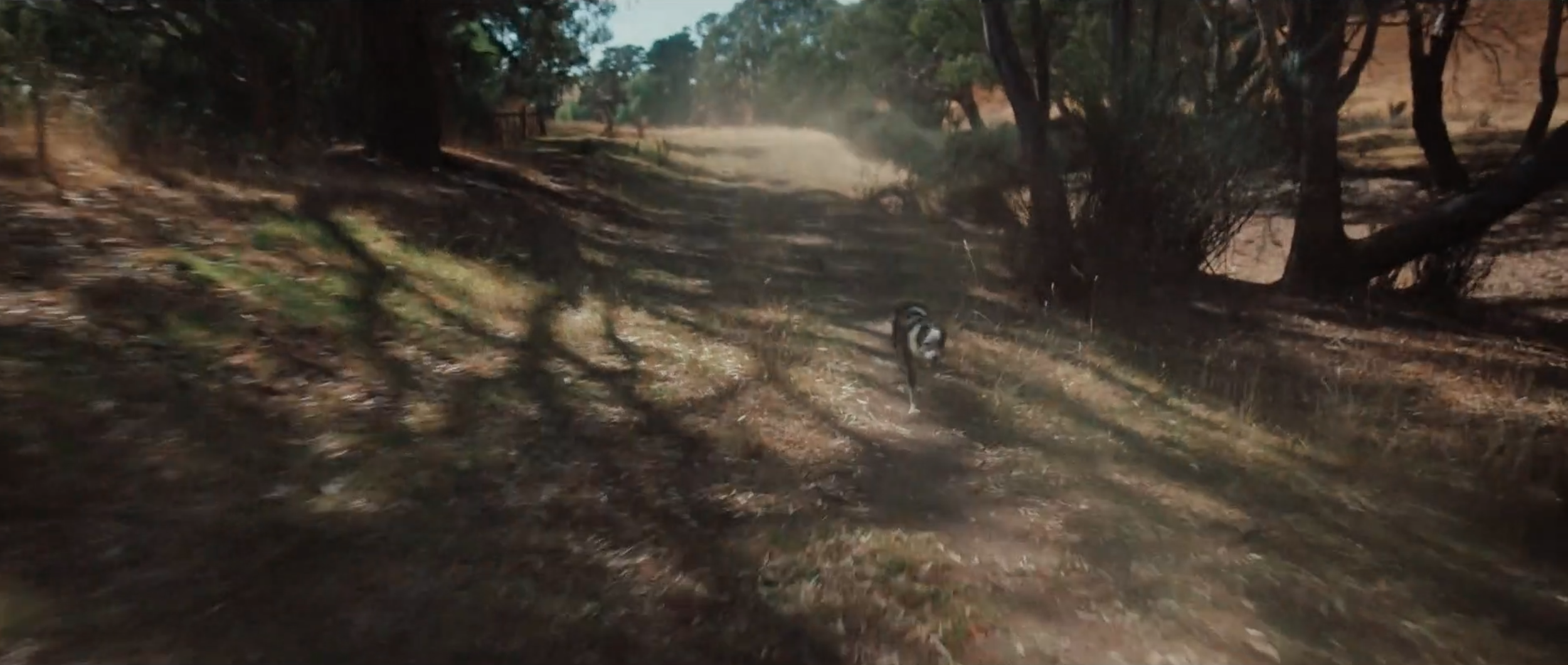 Screenshot 2026-03-05 at 2.46.59 PM.png