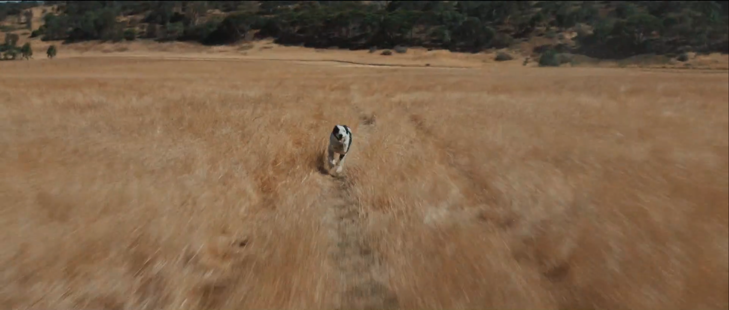 Screenshot 2026-03-05 at 2.47.46 PM.png