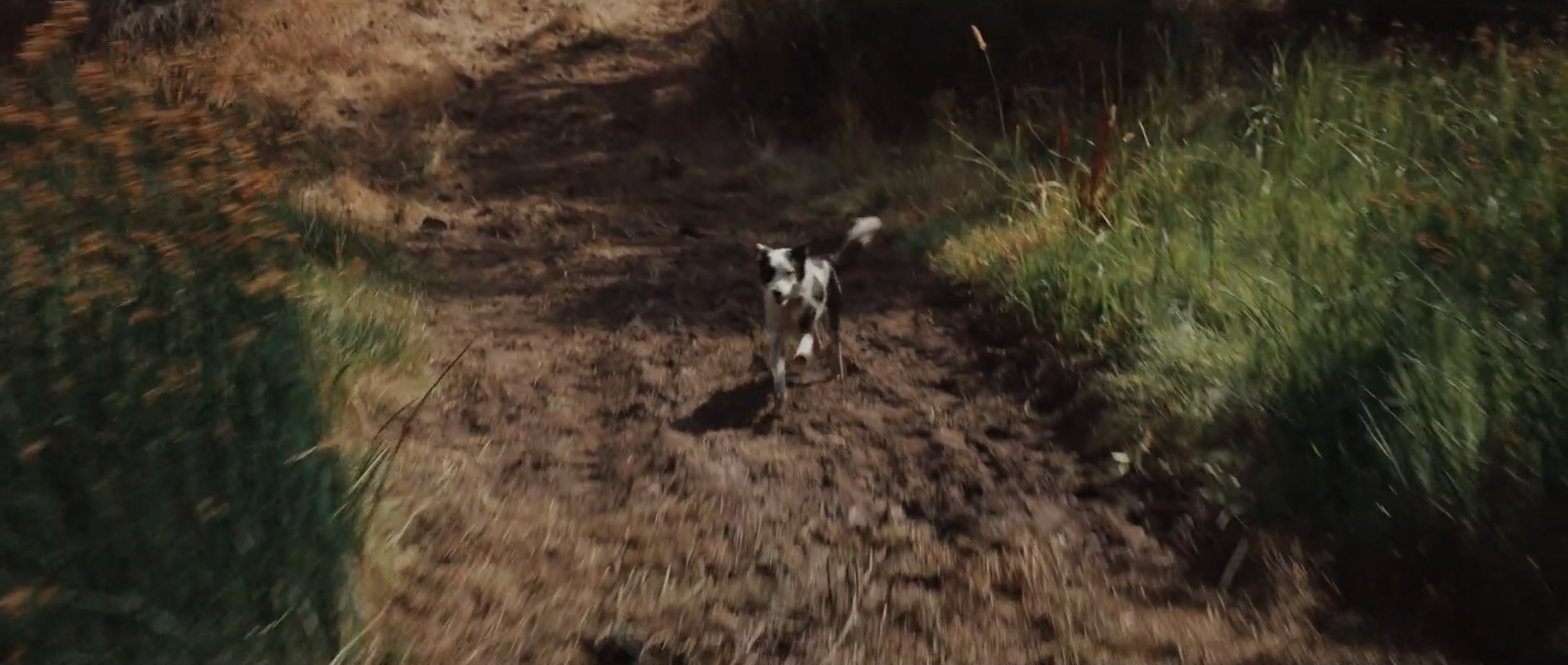 Screenshot 2026-03-05 at 2.47.15 PM.png