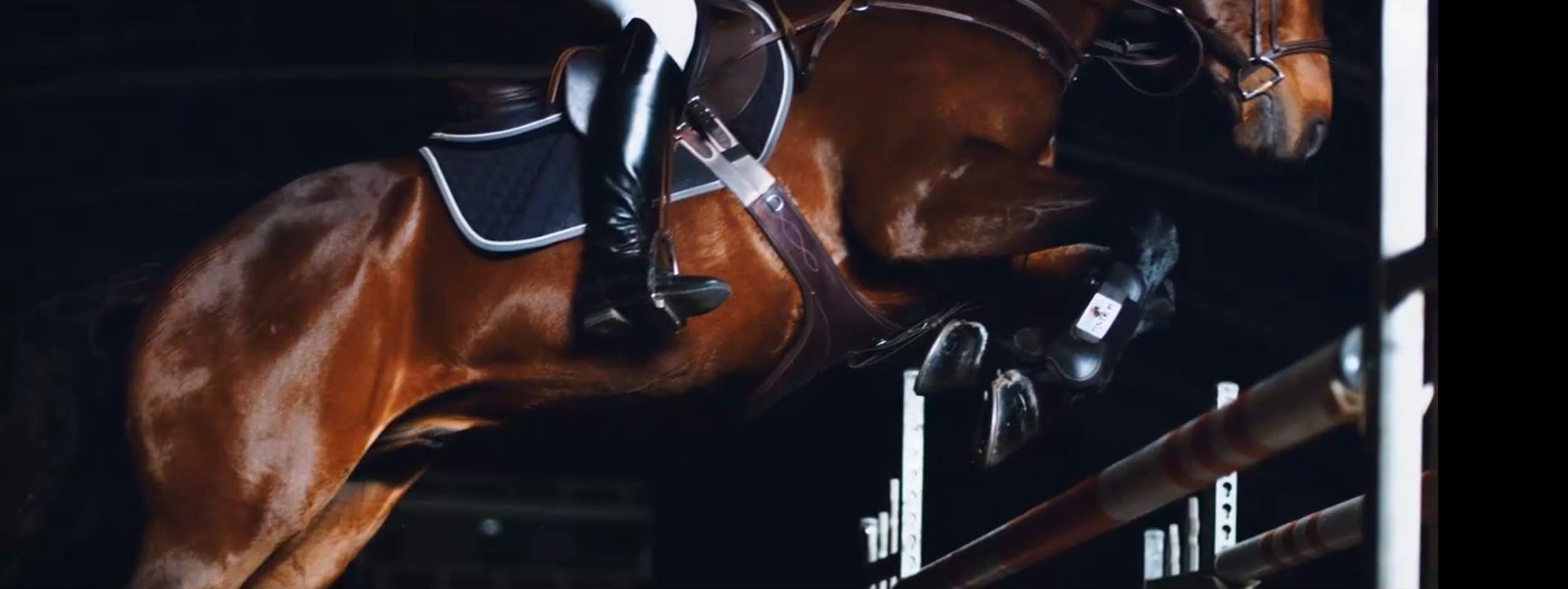 Screenshot 2026-03-07 at 10.39.13 AM.png