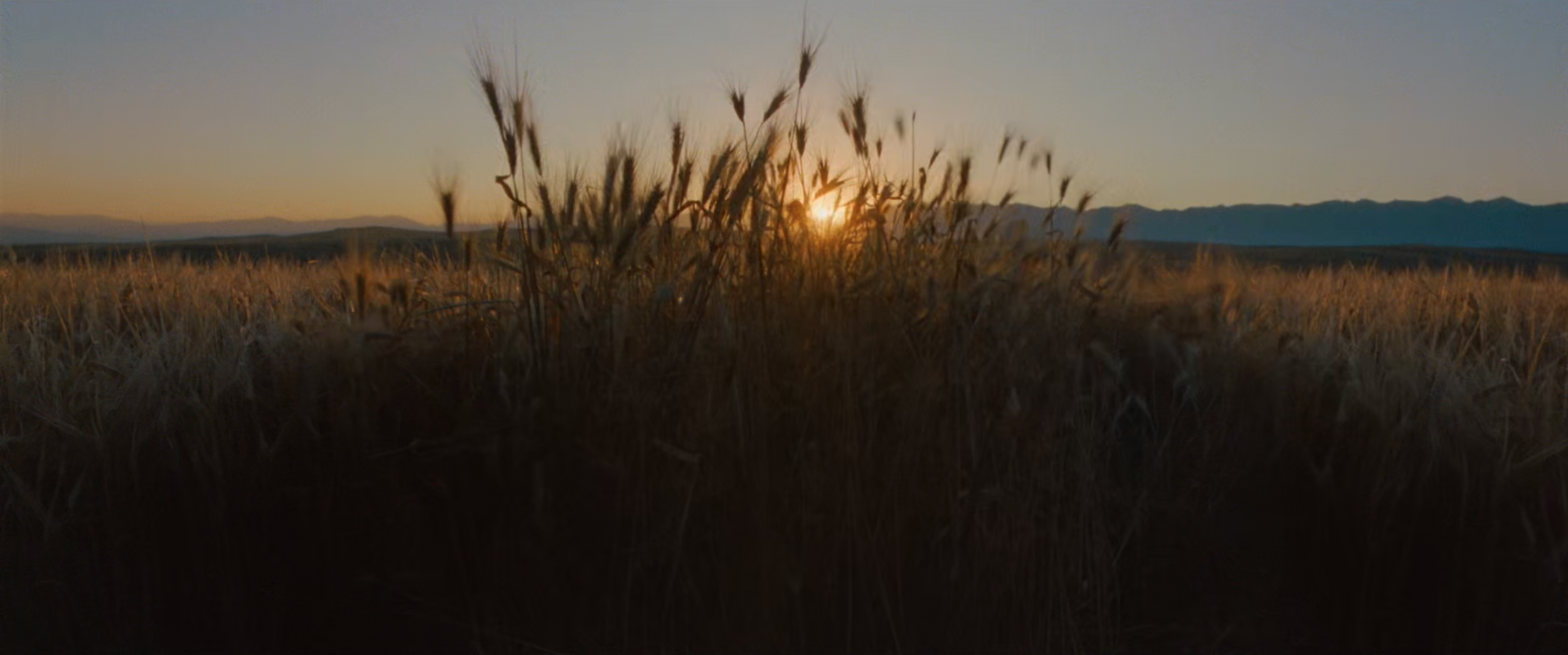 Screenshot 2026-03-05 at 3.03.05 PM.png