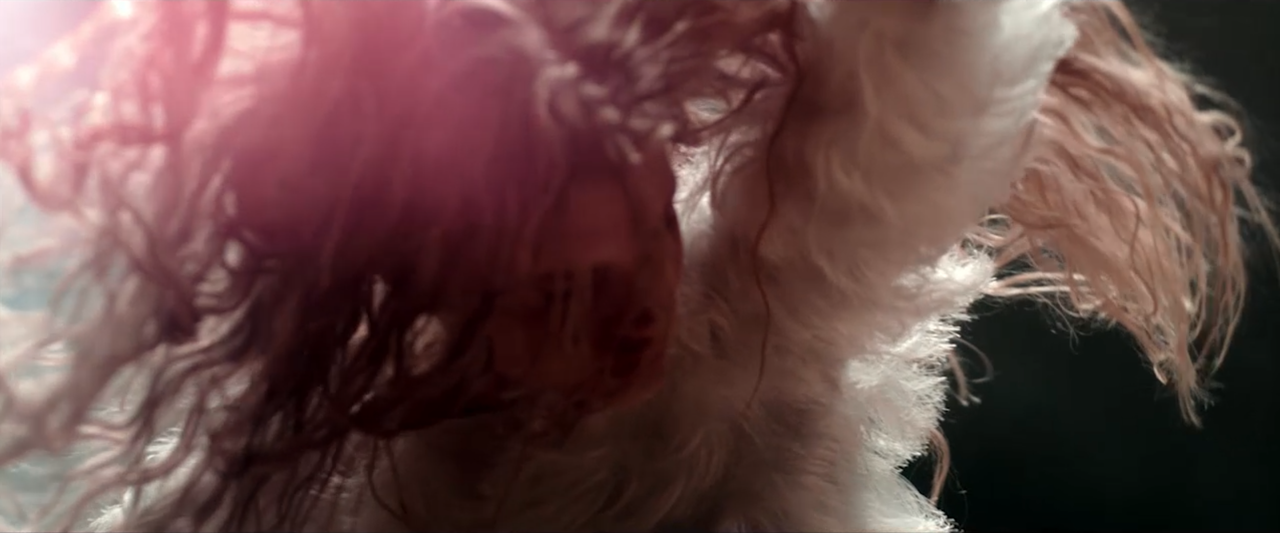 Screenshot 2026-03-06 at 9.01.34 AM.png