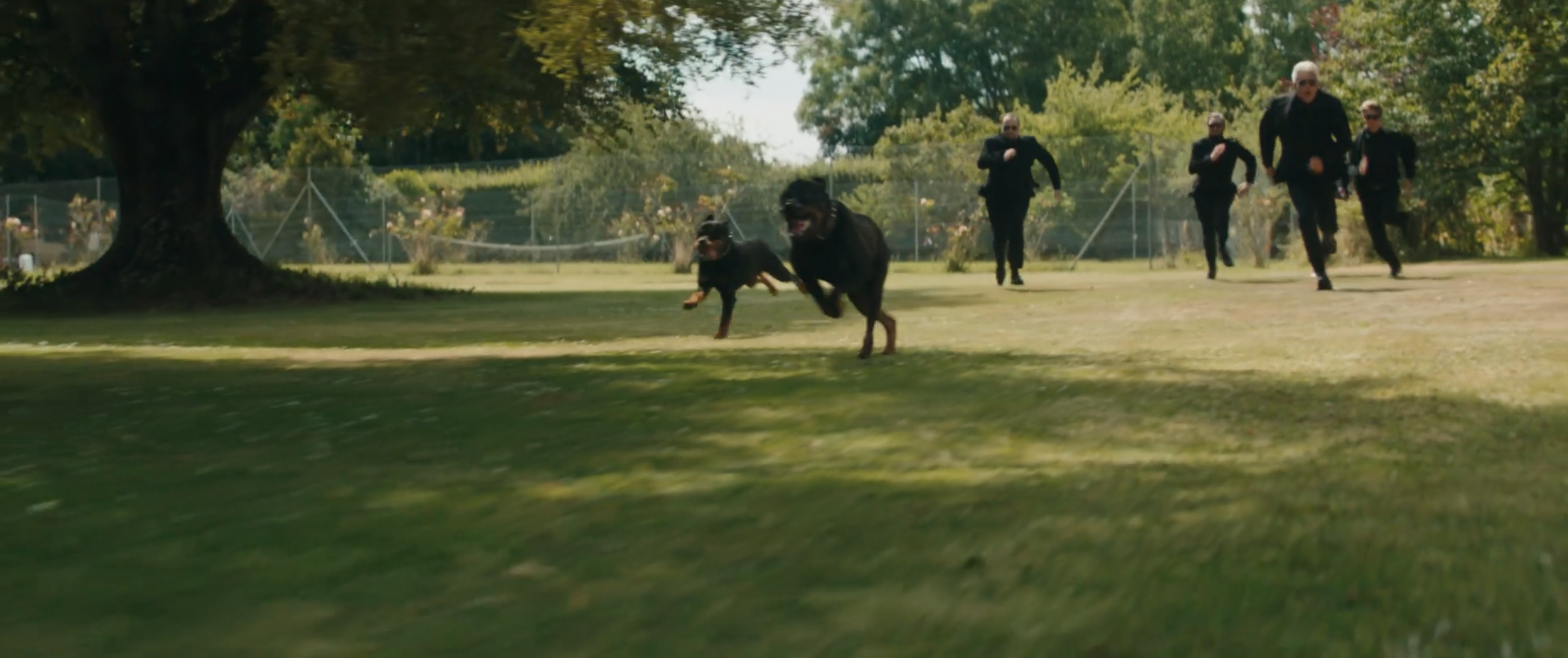 Screenshot 2026-03-09 at 11.07.43 AM.png