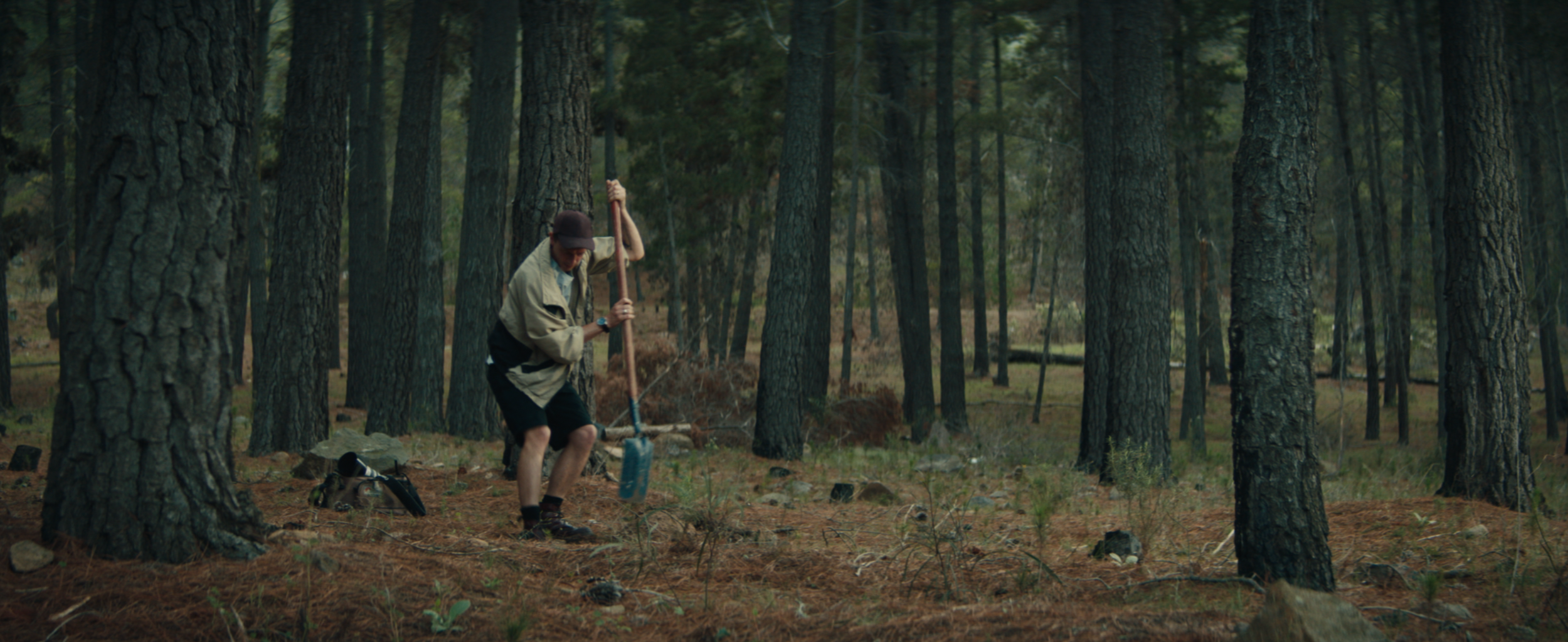 Screenshot 2026-03-06 at 11.31.40 AM.png