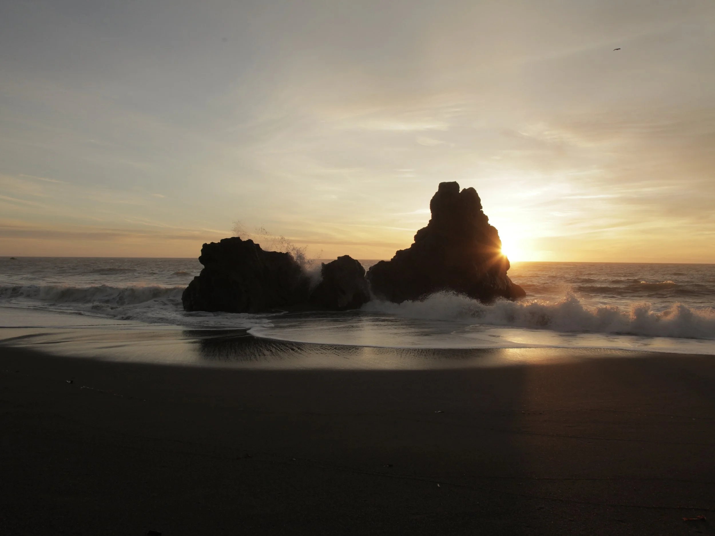 BODEGA BAY CALIFORNIA