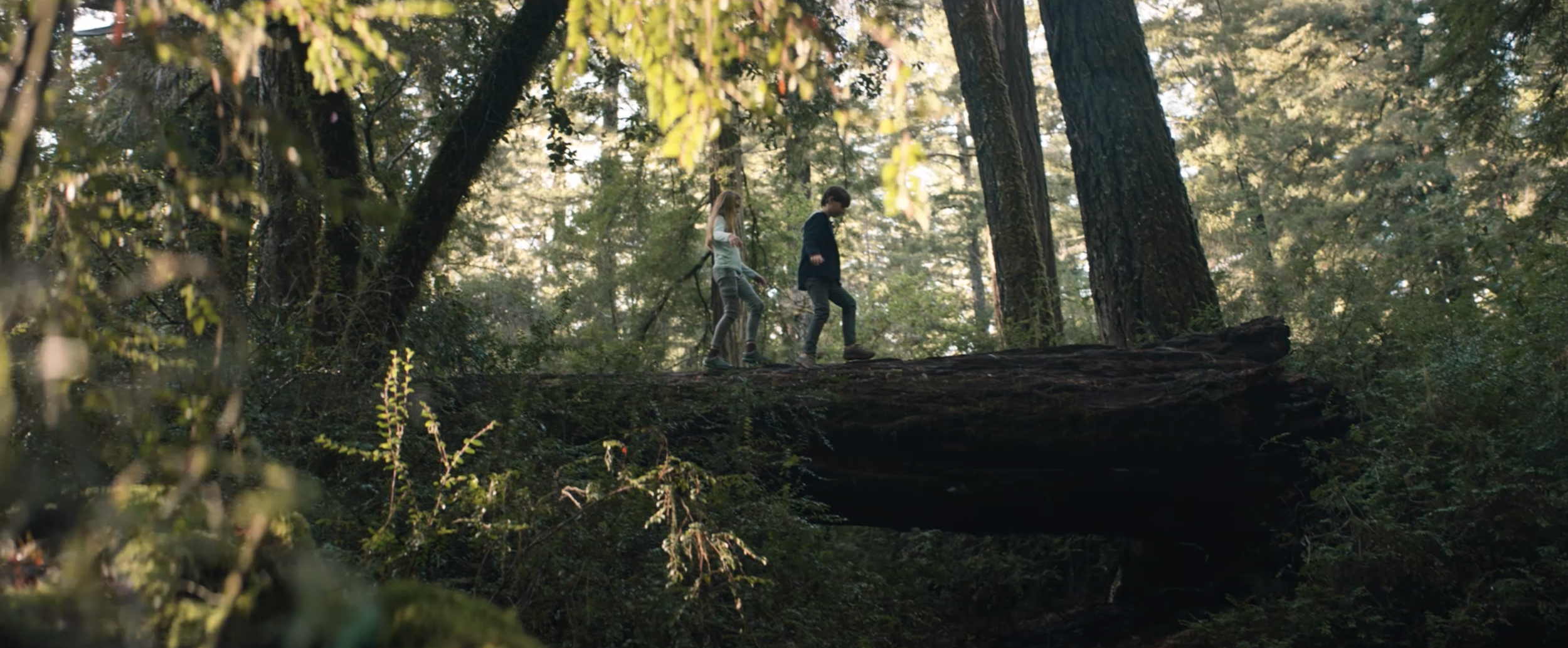 Screenshot 2026-03-09 at 9.04.39 AM.png