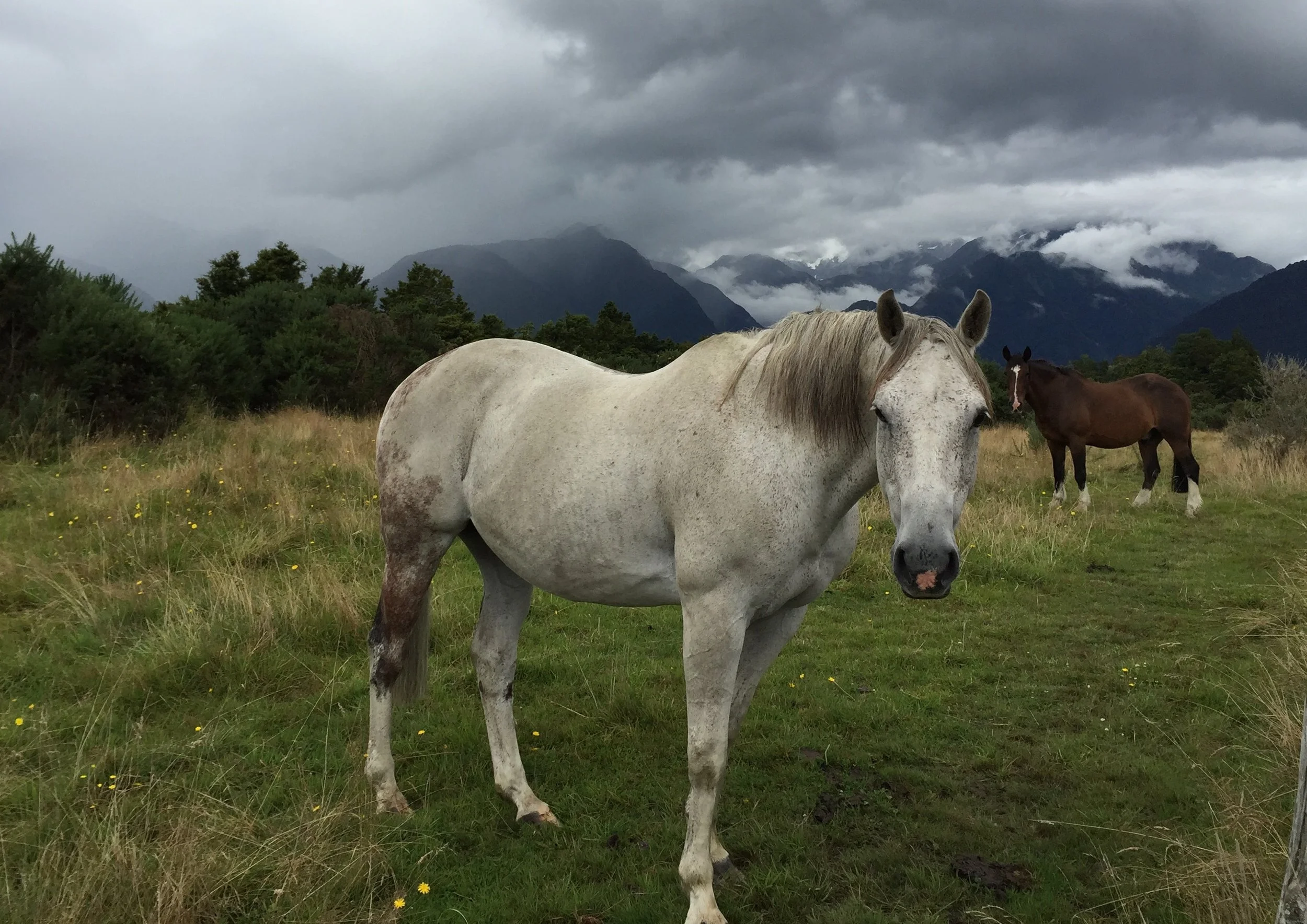 WEST COAST NEW ZEALAND