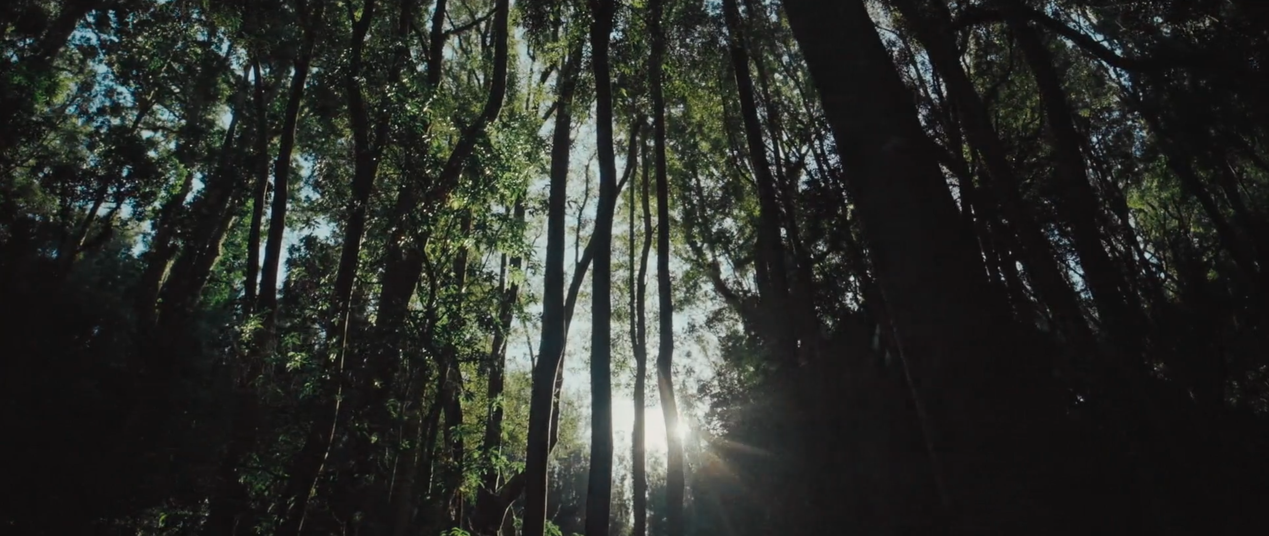 Screenshot 2026-03-05 at 2.46.17 PM.png