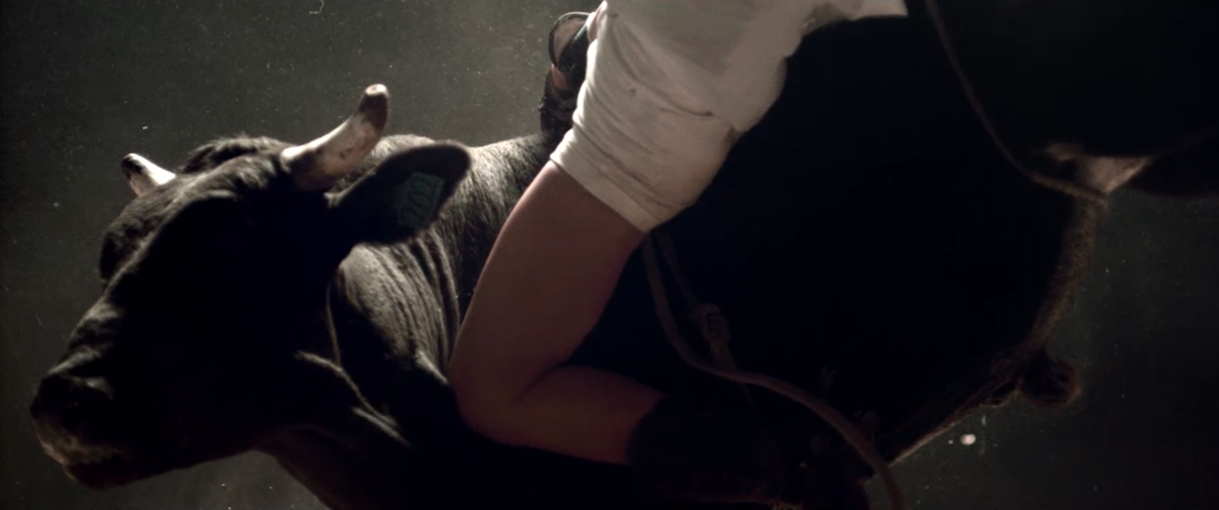 Screenshot 2026-03-06 at 9.02.17 AM.png