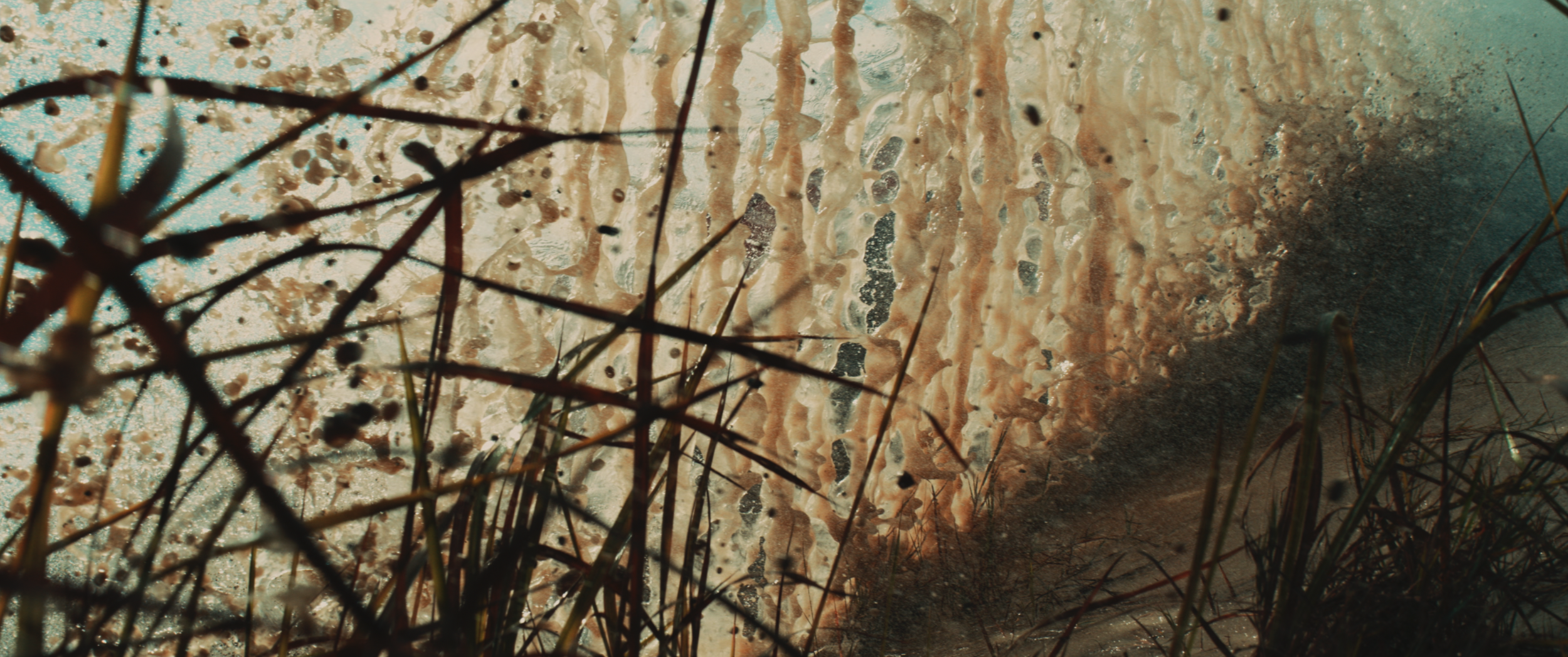 Screenshot 2026-03-06 at 7.25.13 AM.png