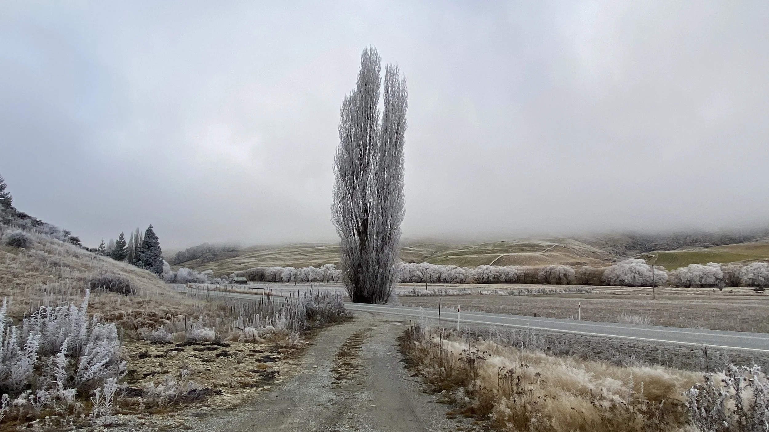 CARDRONA NEW ZEALAND