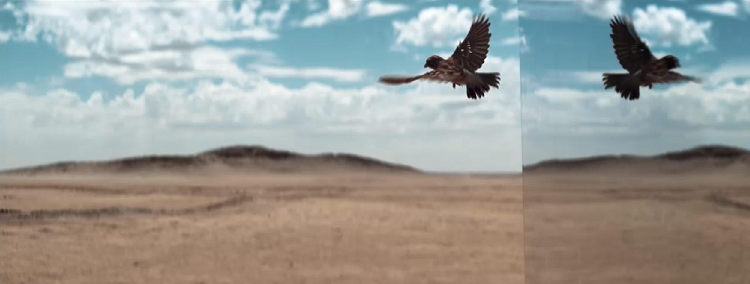 Screenshot 2026-03-06 at 11.50.32 AM.png