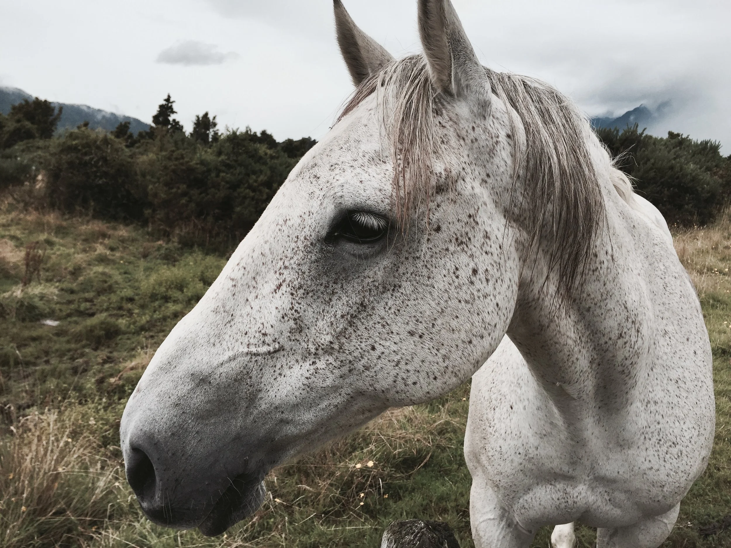 WEST COAST NEW ZEALAND