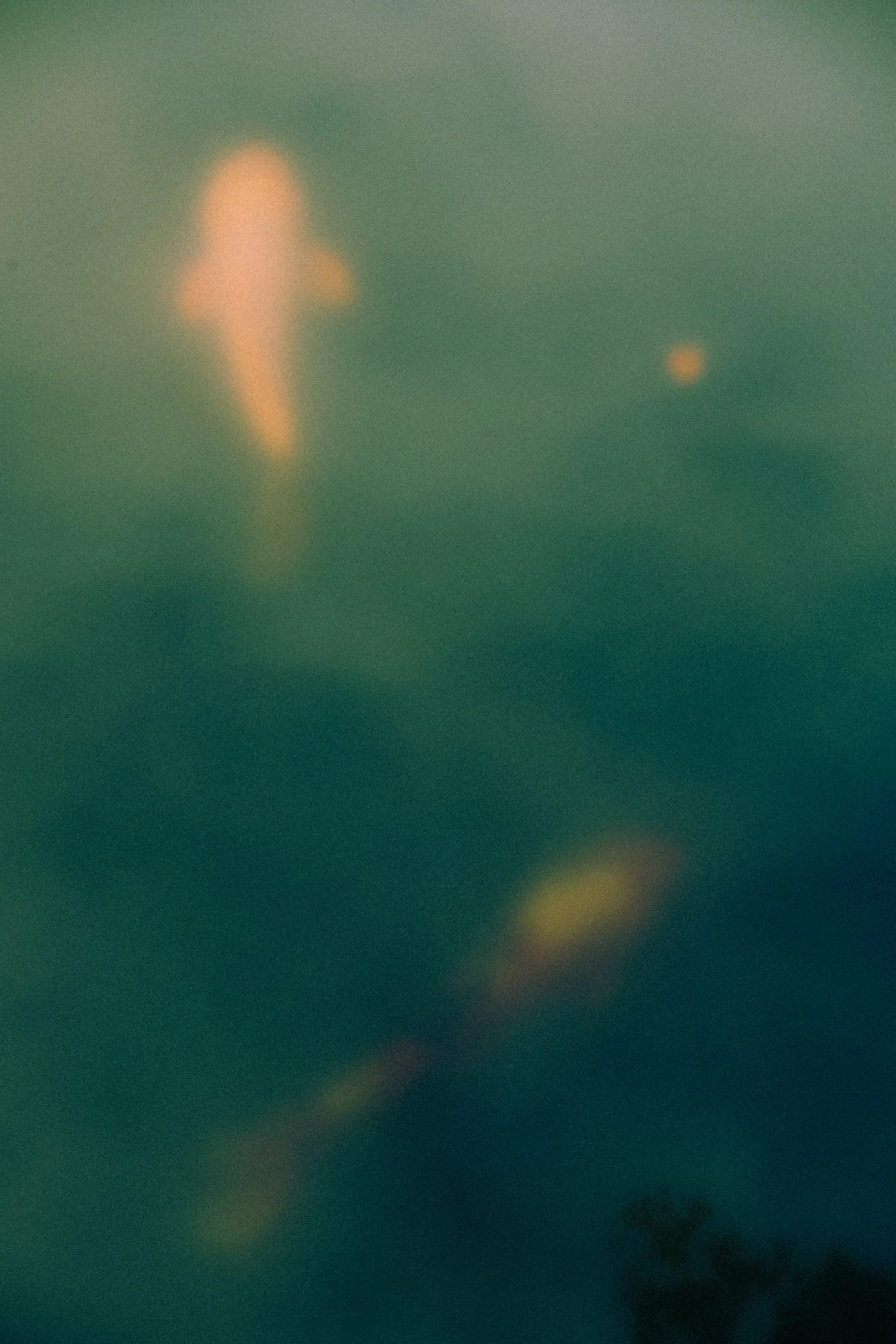 movements-2.jpg