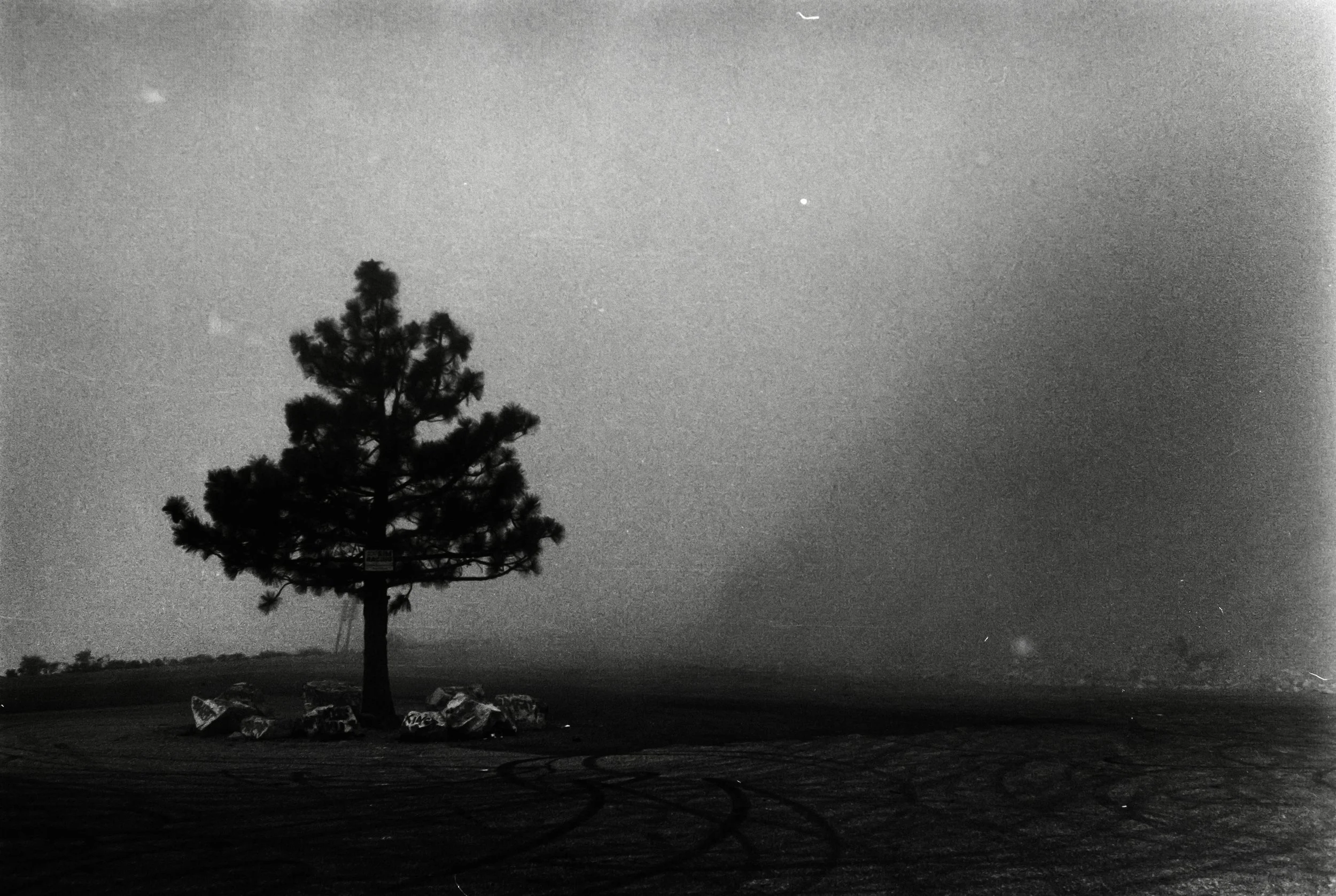 A solitary tree surrounded by rocks on a dark, possibly nighttime or foggy landscape, with tire tracks visible on the ground.