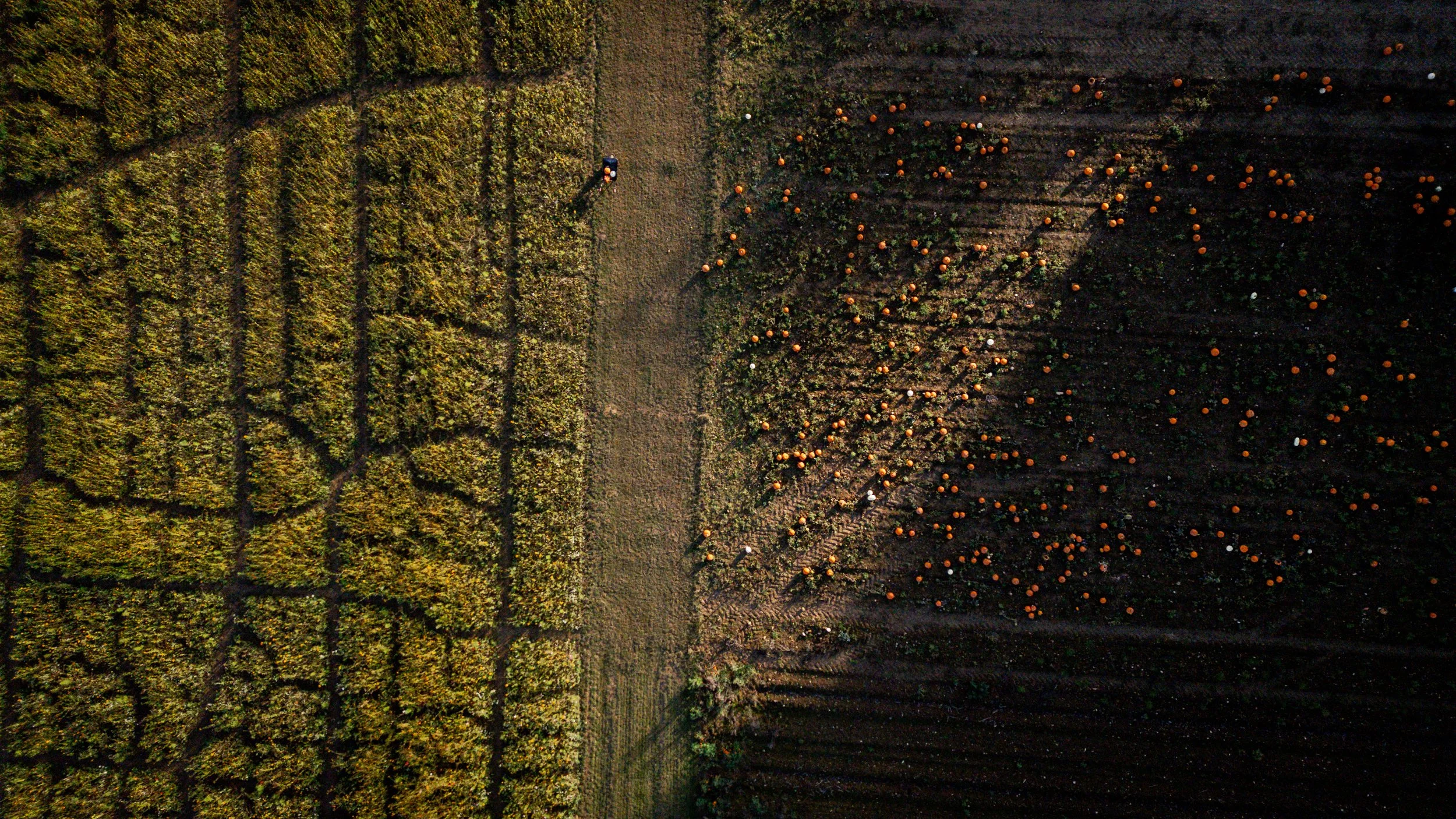 DJI_0540.jpg