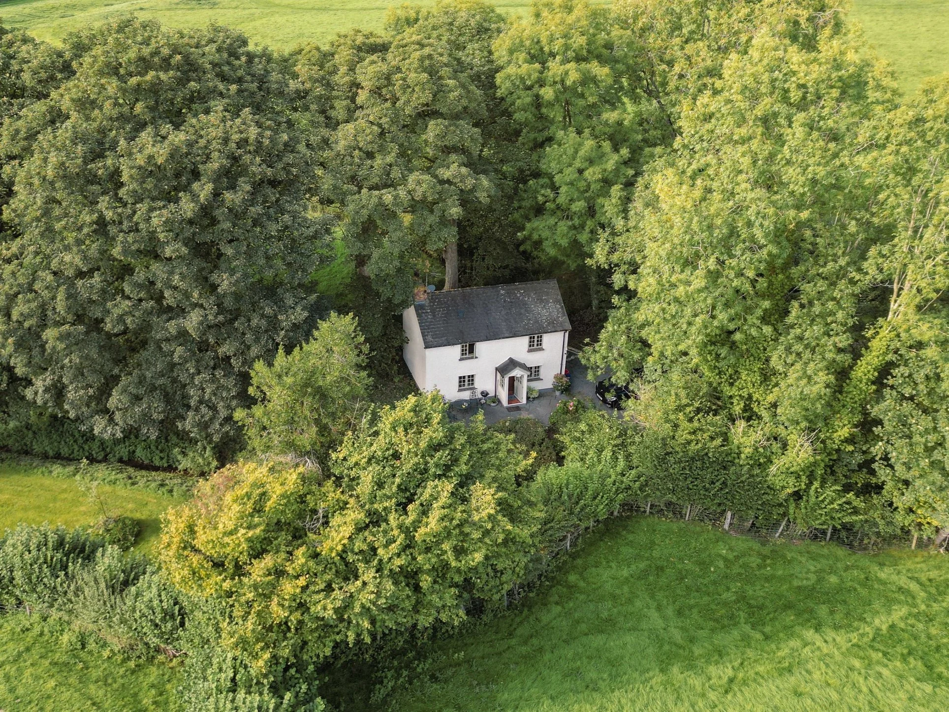 dji_fly_20230908_165544_149_1694189463697_photo.jpg