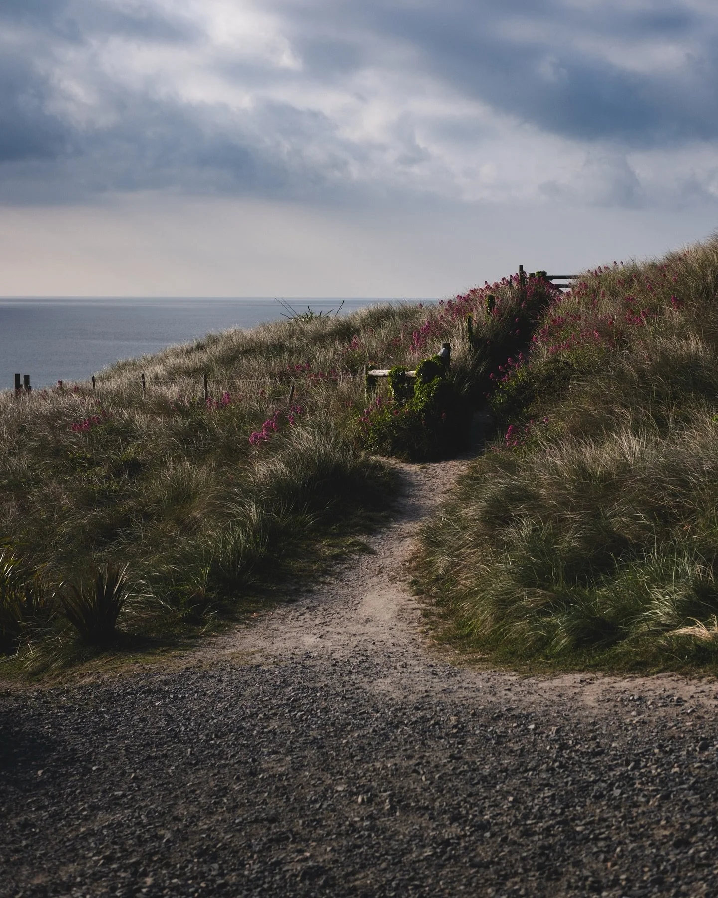Blown away by Sennen.

Where wild beauty meets rolling swells. 

Surf, solitude and moments that slow you down. 

Simply beautiful. 

#SennenCove #CornwallSurf #FilmAndSea #ClarkPhotographic #landscapephotographers