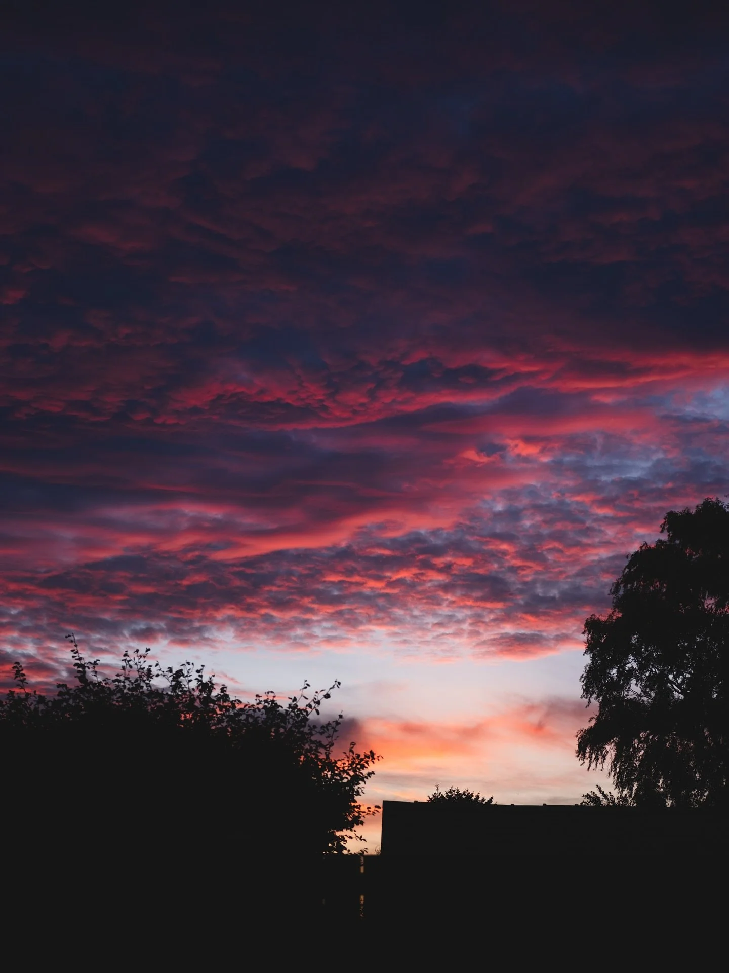 Early autumn mornings.