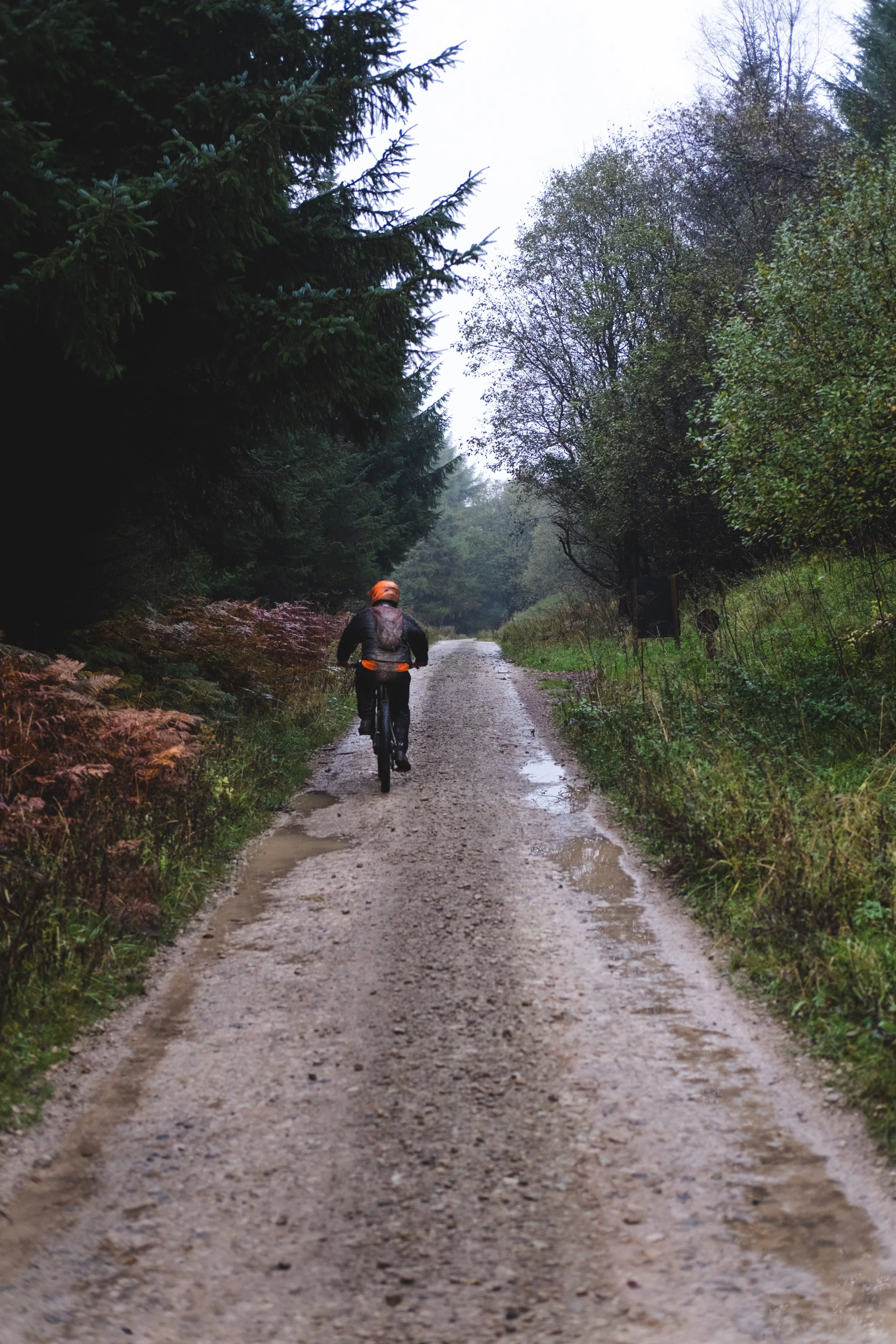 A person riding a bicycle along a muddy forest trail on a rainy day, surrounded by trees and dense foliage.