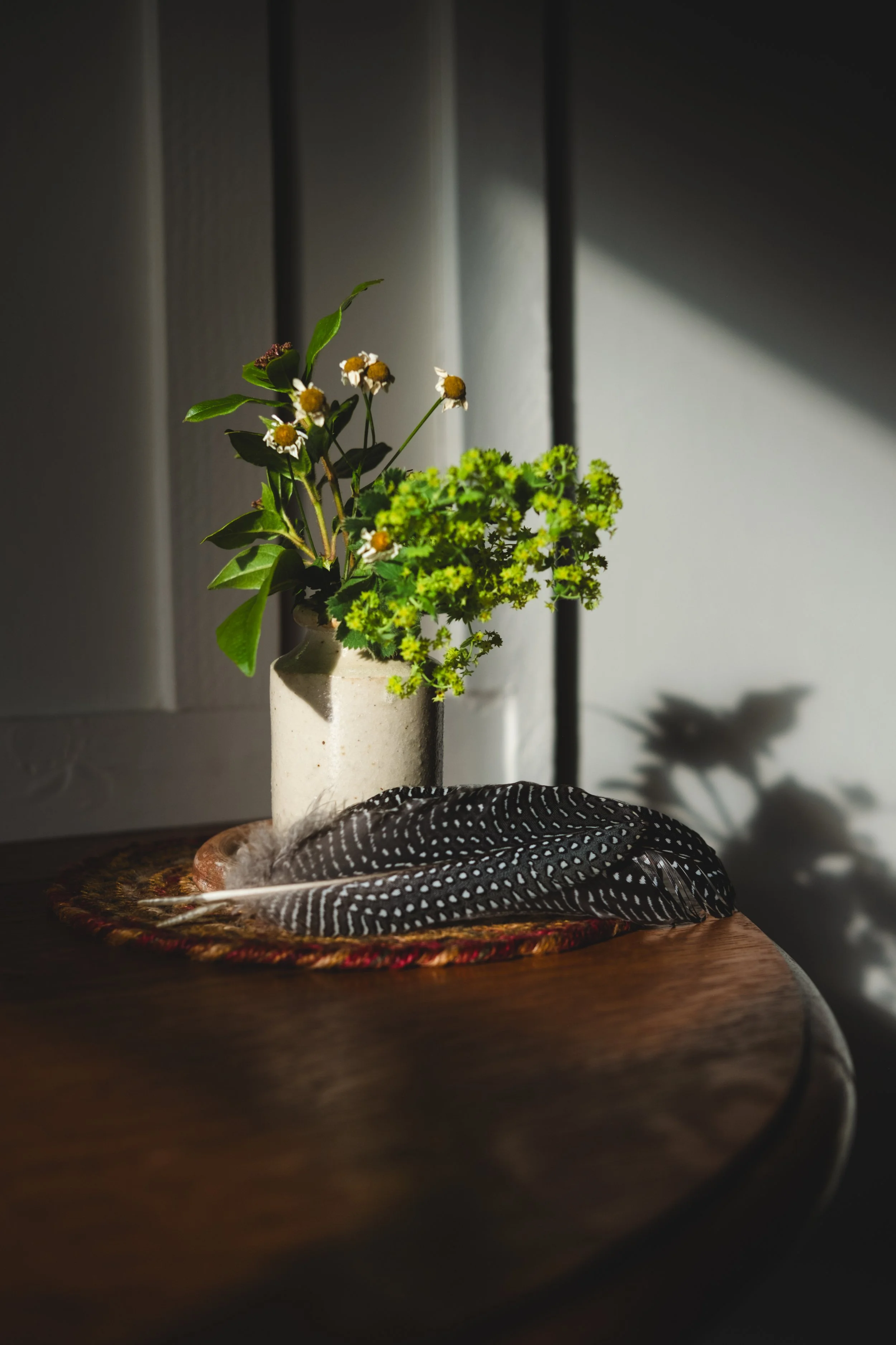 A small beige vase holding green leafy and flowering plants on a wooden table, with sunlight casting a shadow of the plants on a nearby wall.