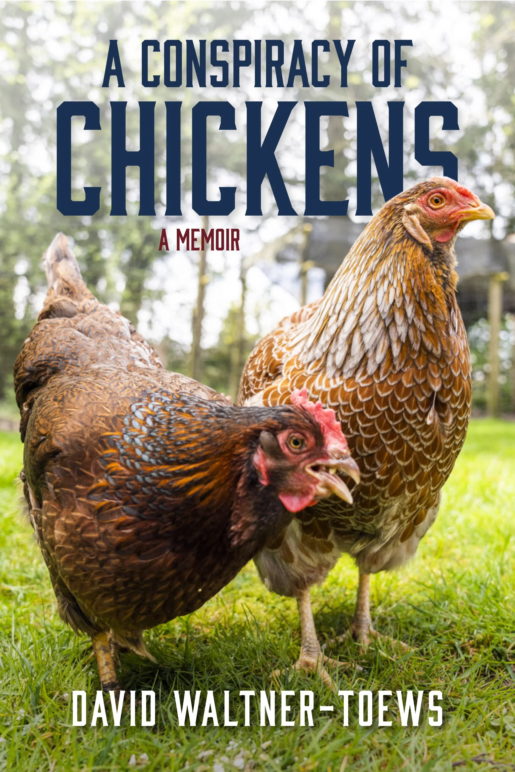 ConspiracyOfChickens_coverrough.jpg