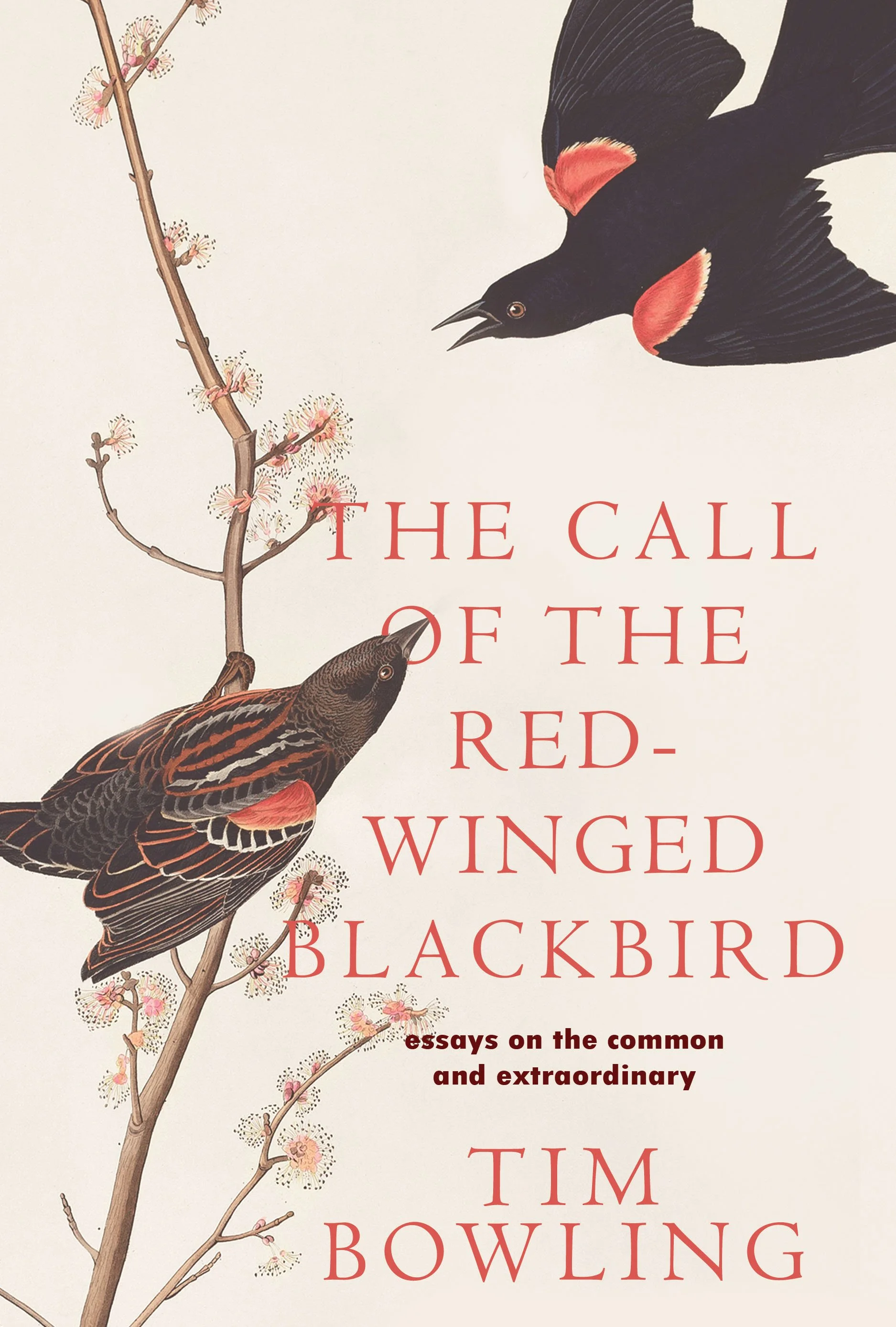 number four for full cover.jpg