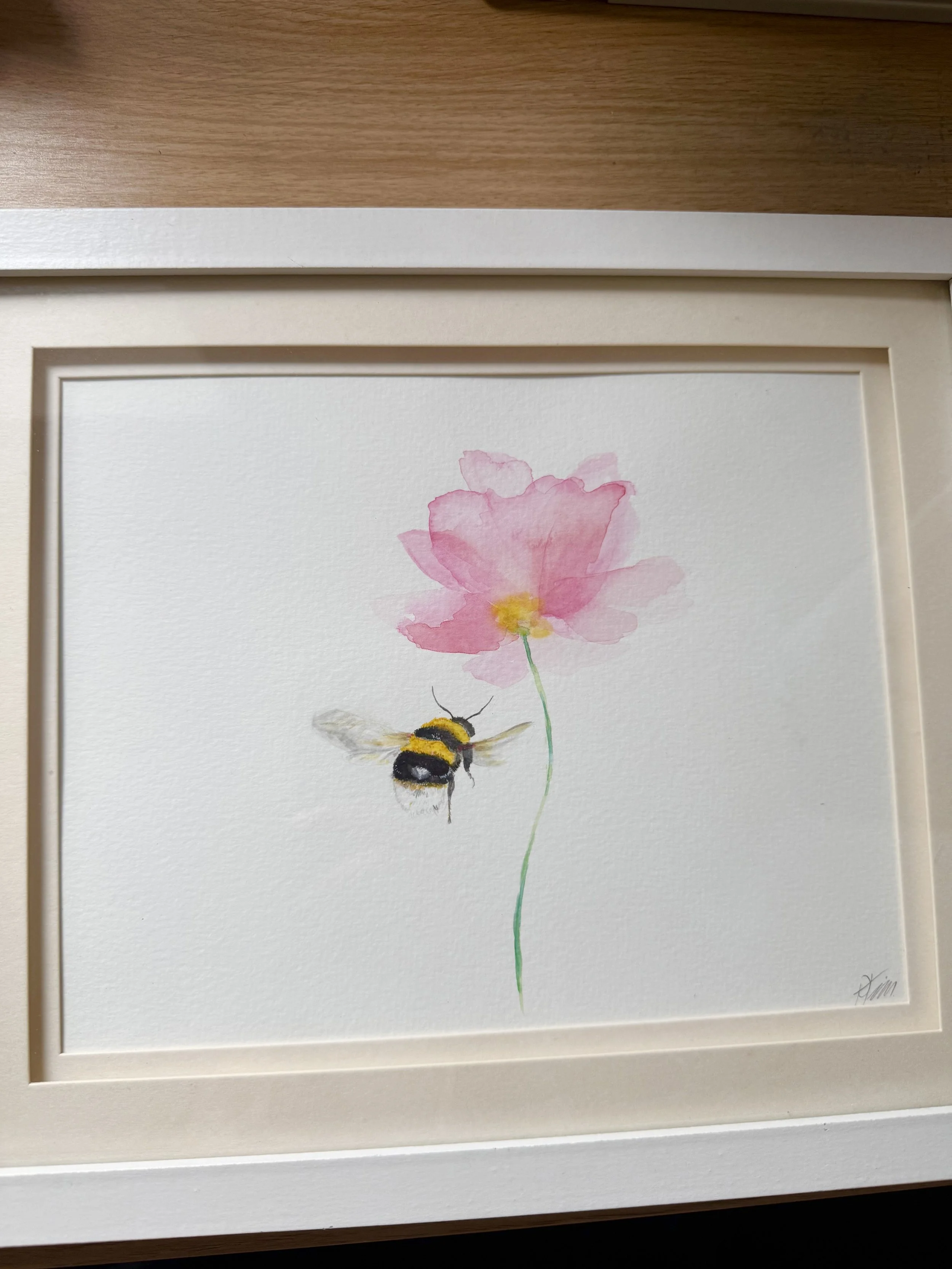 Bumblebee on Pink Anemone