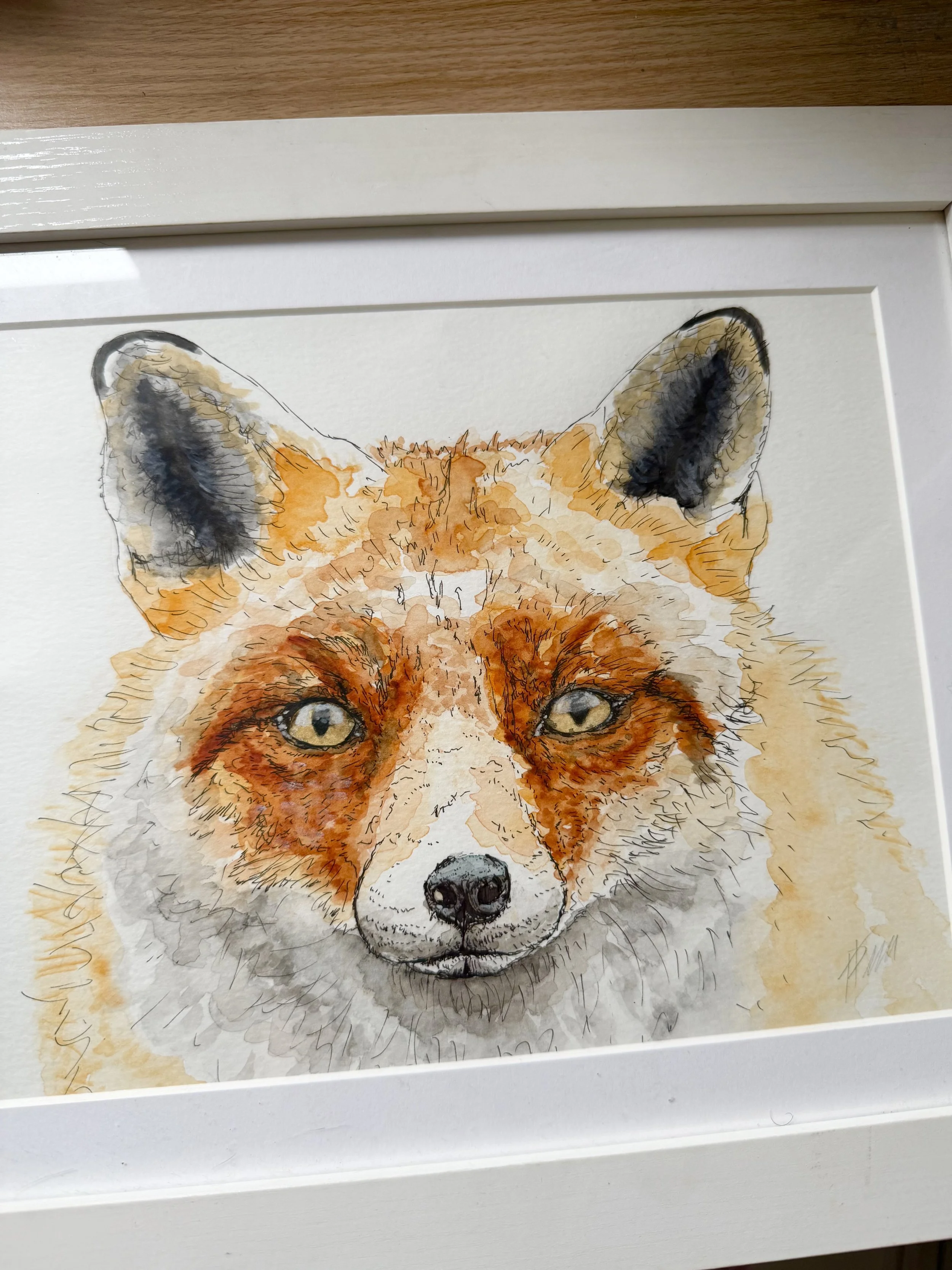 Fox Portrait
