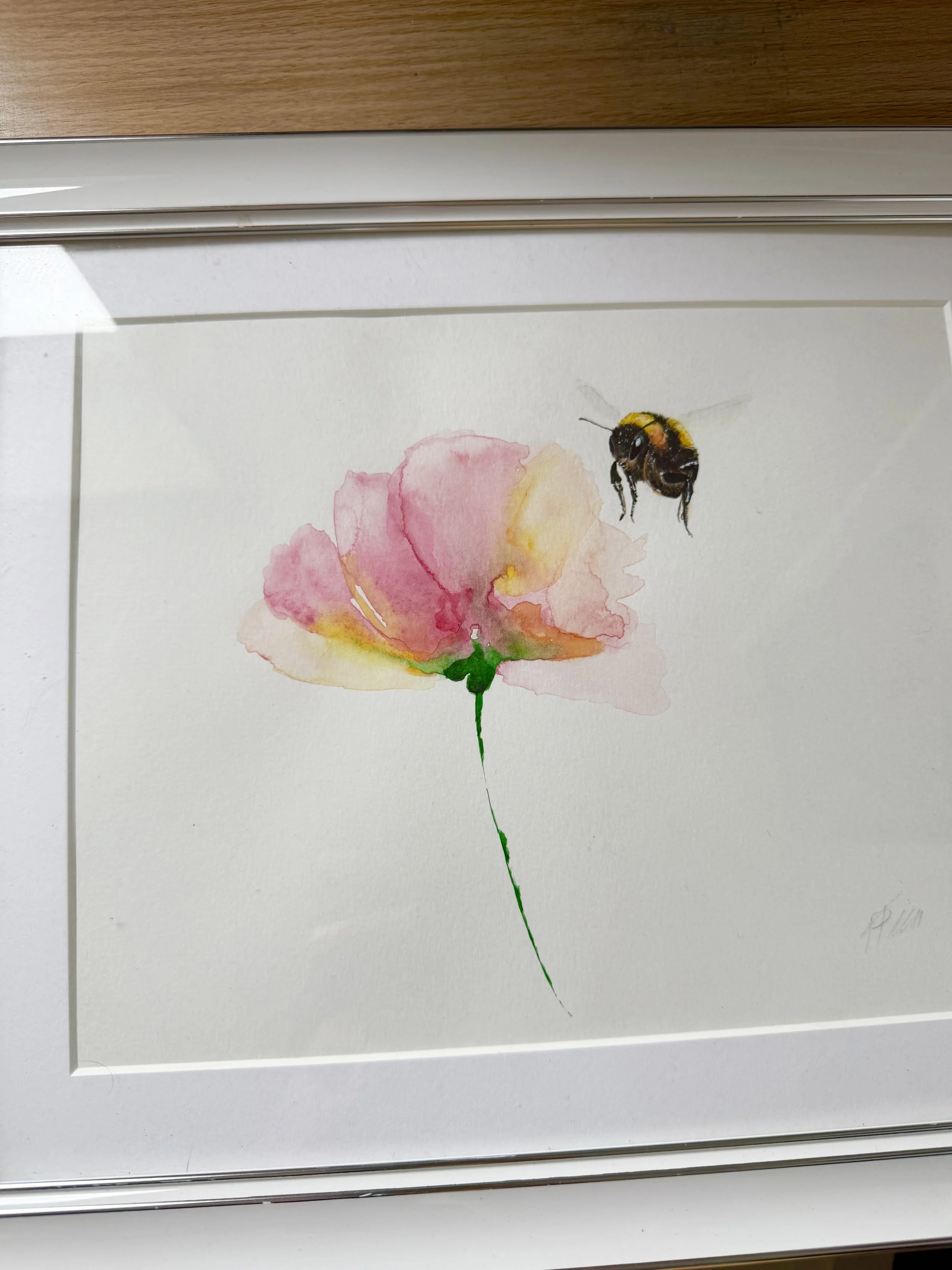 Bumblebee on Multicoloured Flower