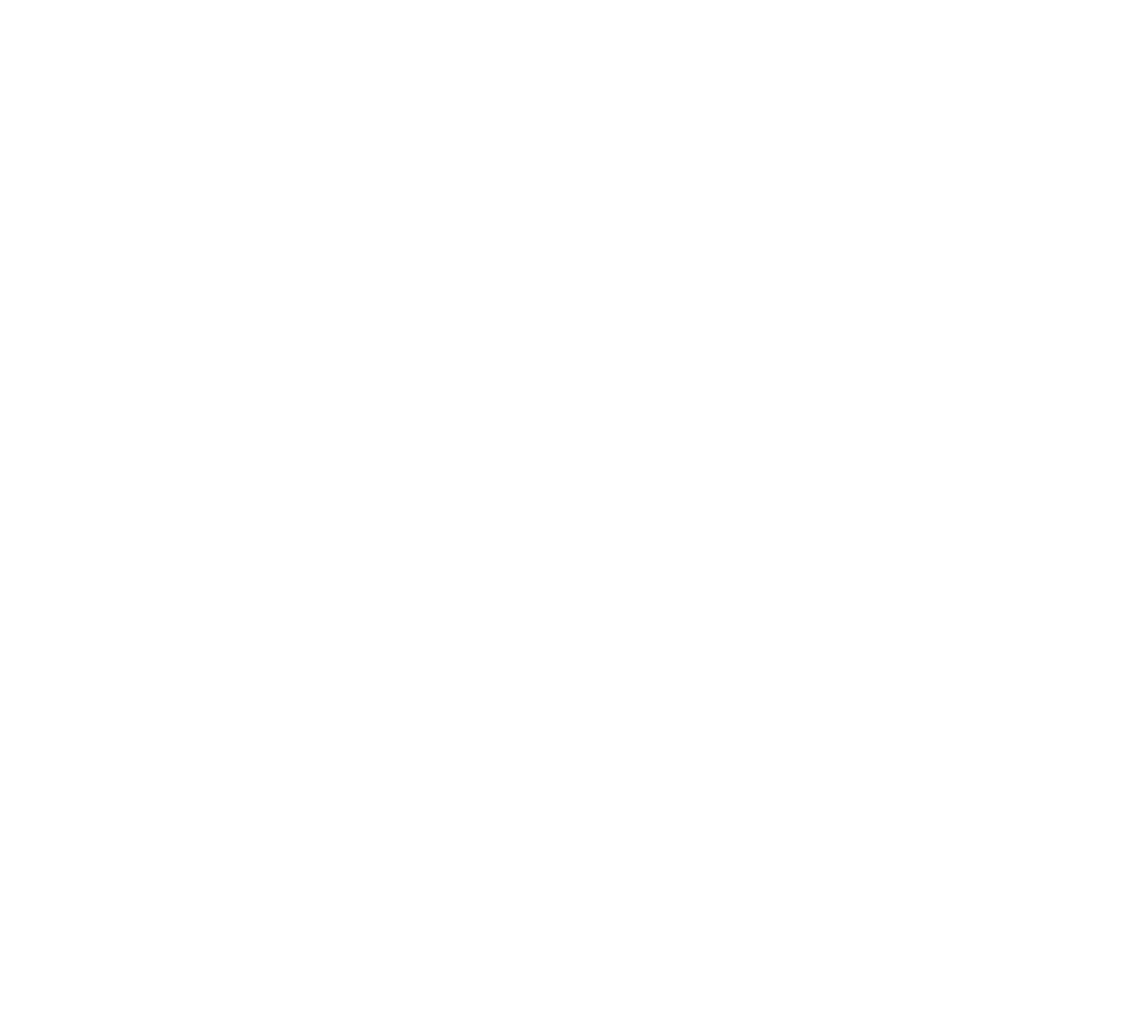 Birthright logo (white).png