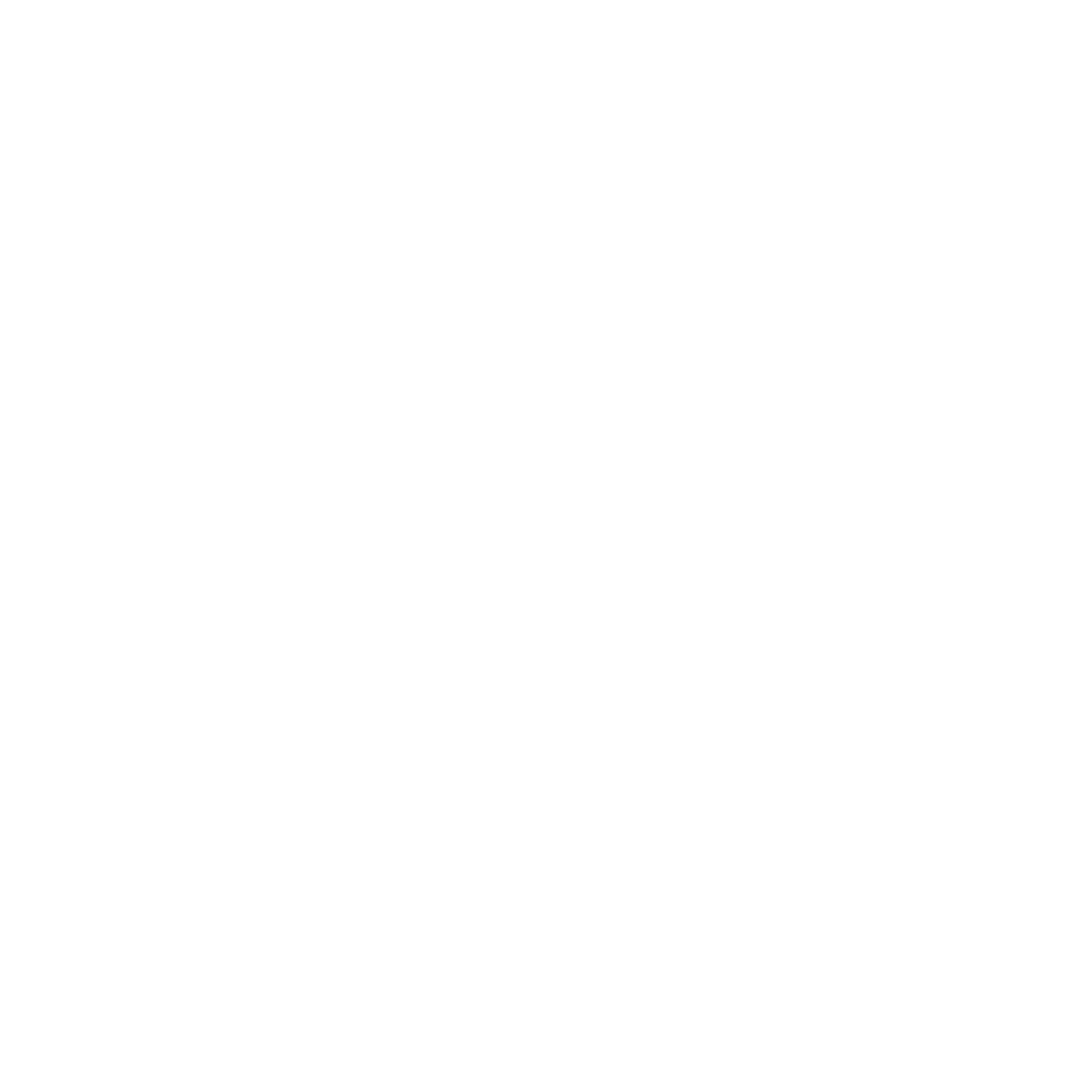 Dreamwalkerz Logo white.png