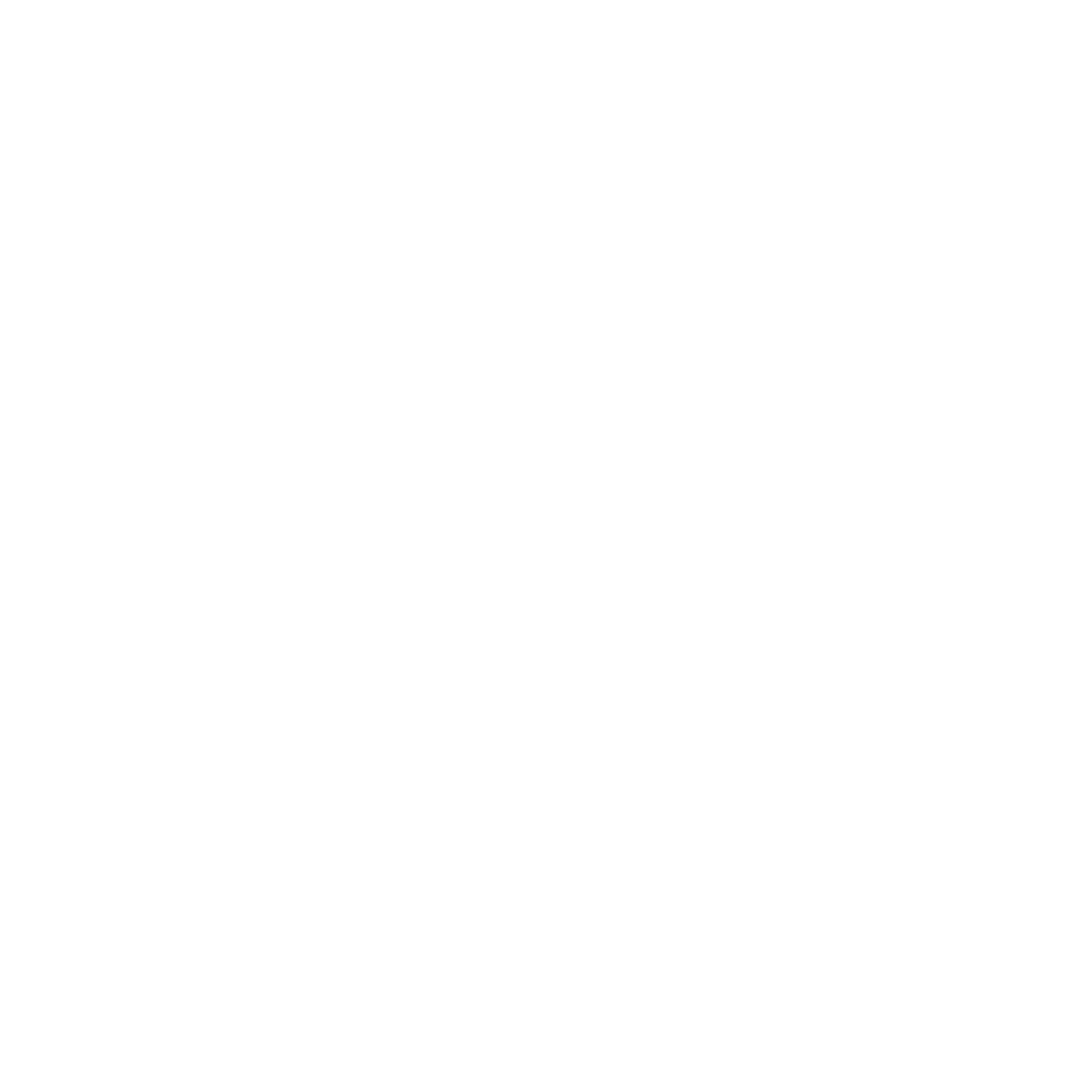 Let Freedom Bling logo white.png